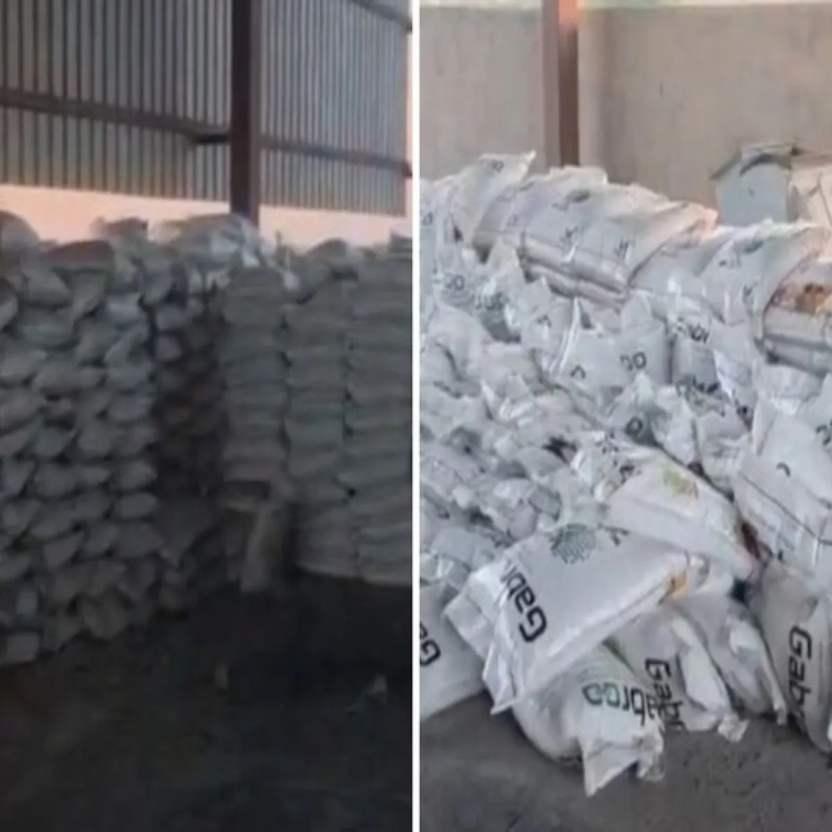 Fakeproducts Fakeproducts Puriya Men Nkli Snaiks