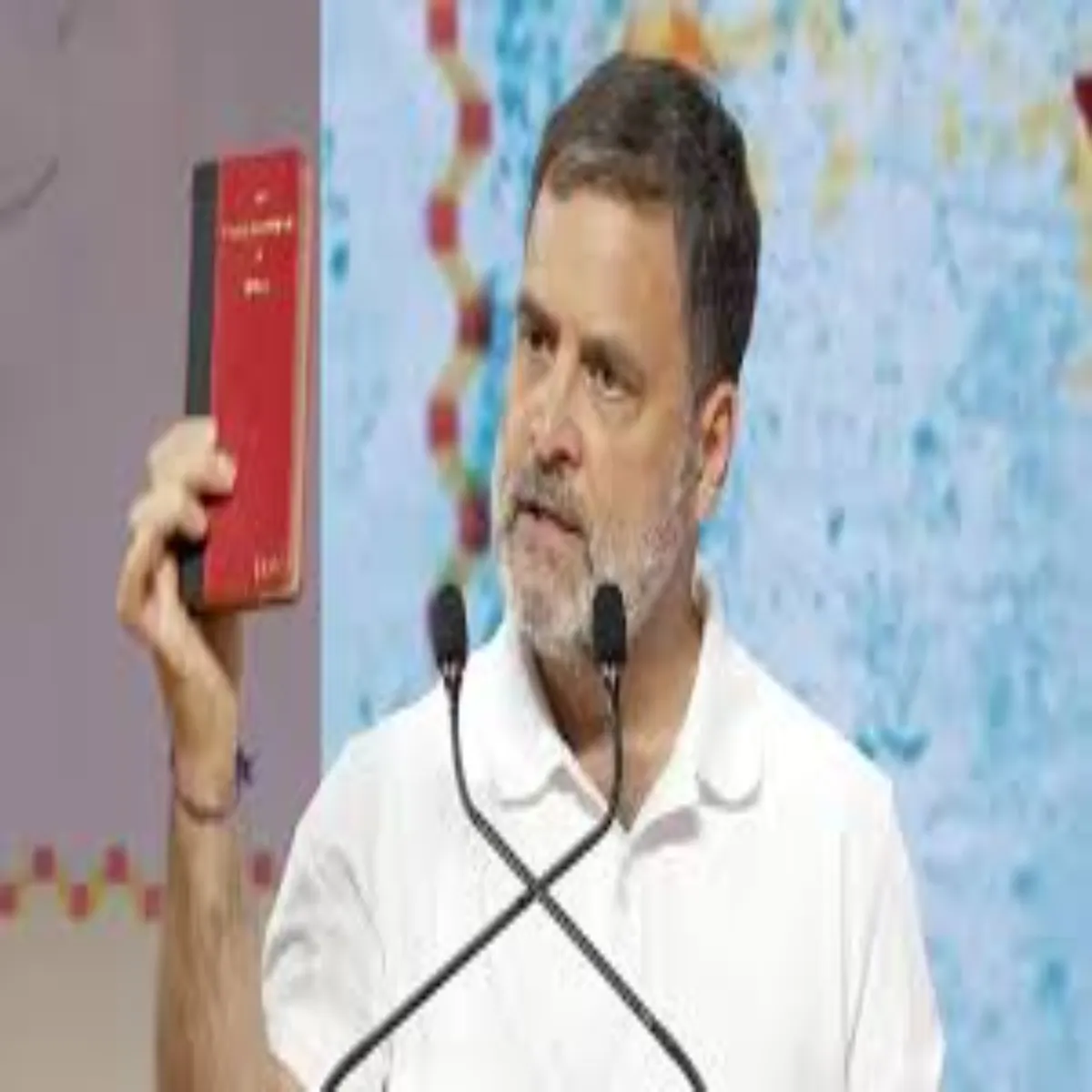 Rahulgandhi Rahulgandhi Lkhnoo Smmeln Men Kangres