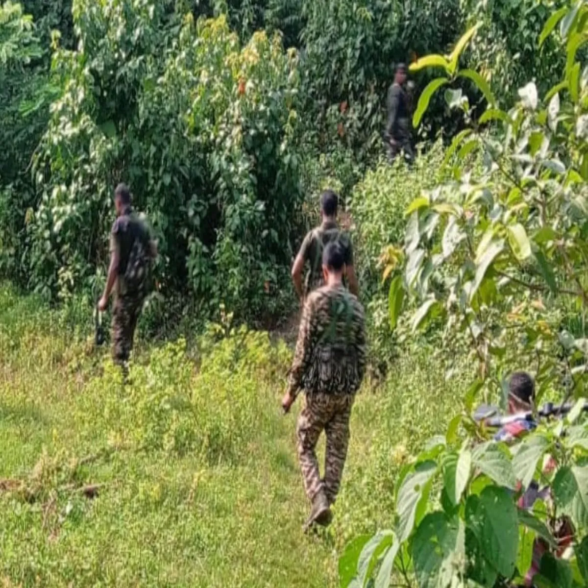 Encounterupdate Encounterupdate Snblpur Jngl Men Huee