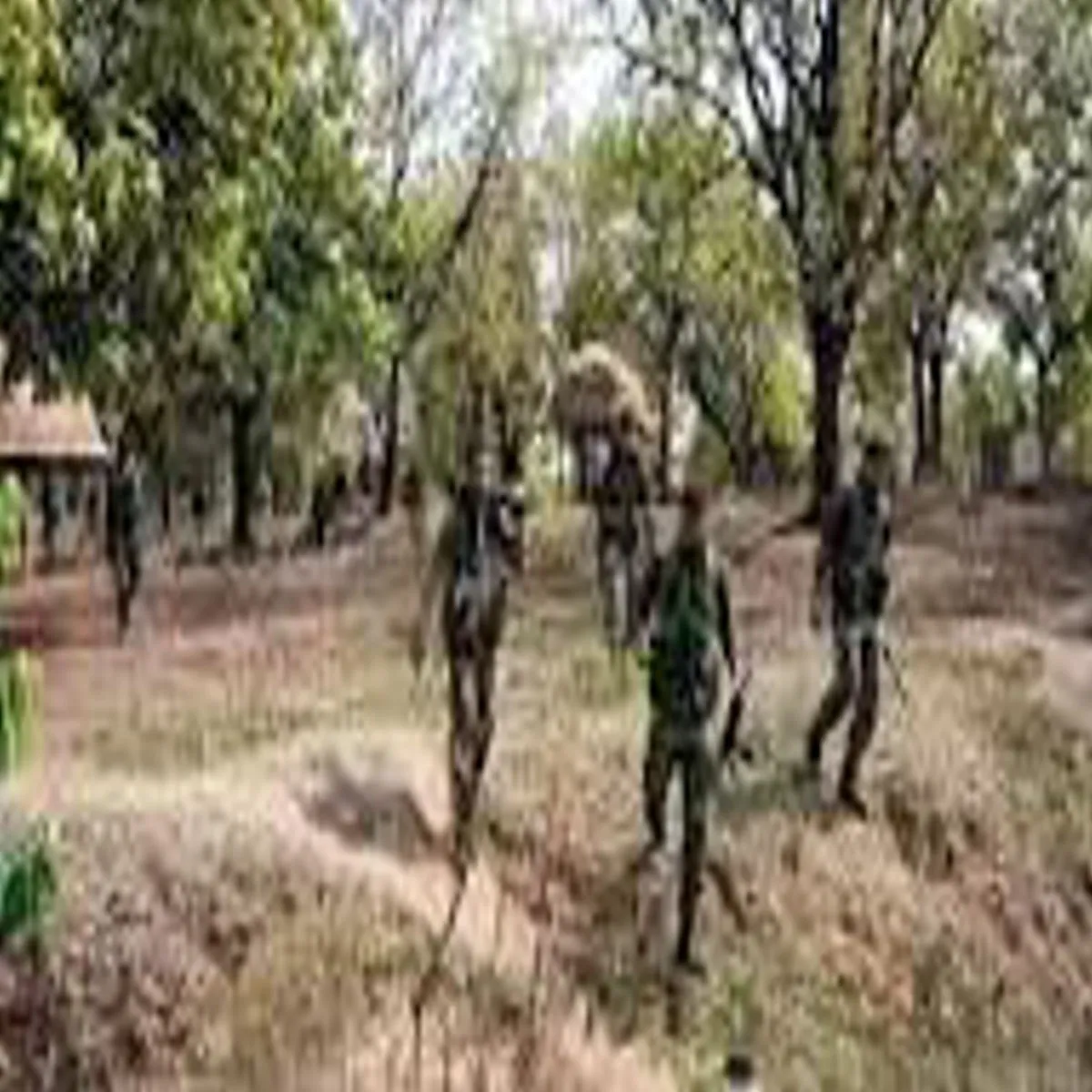 Naxalencounter Naxalencounter Sarnda Jngl Men Surkshablon
