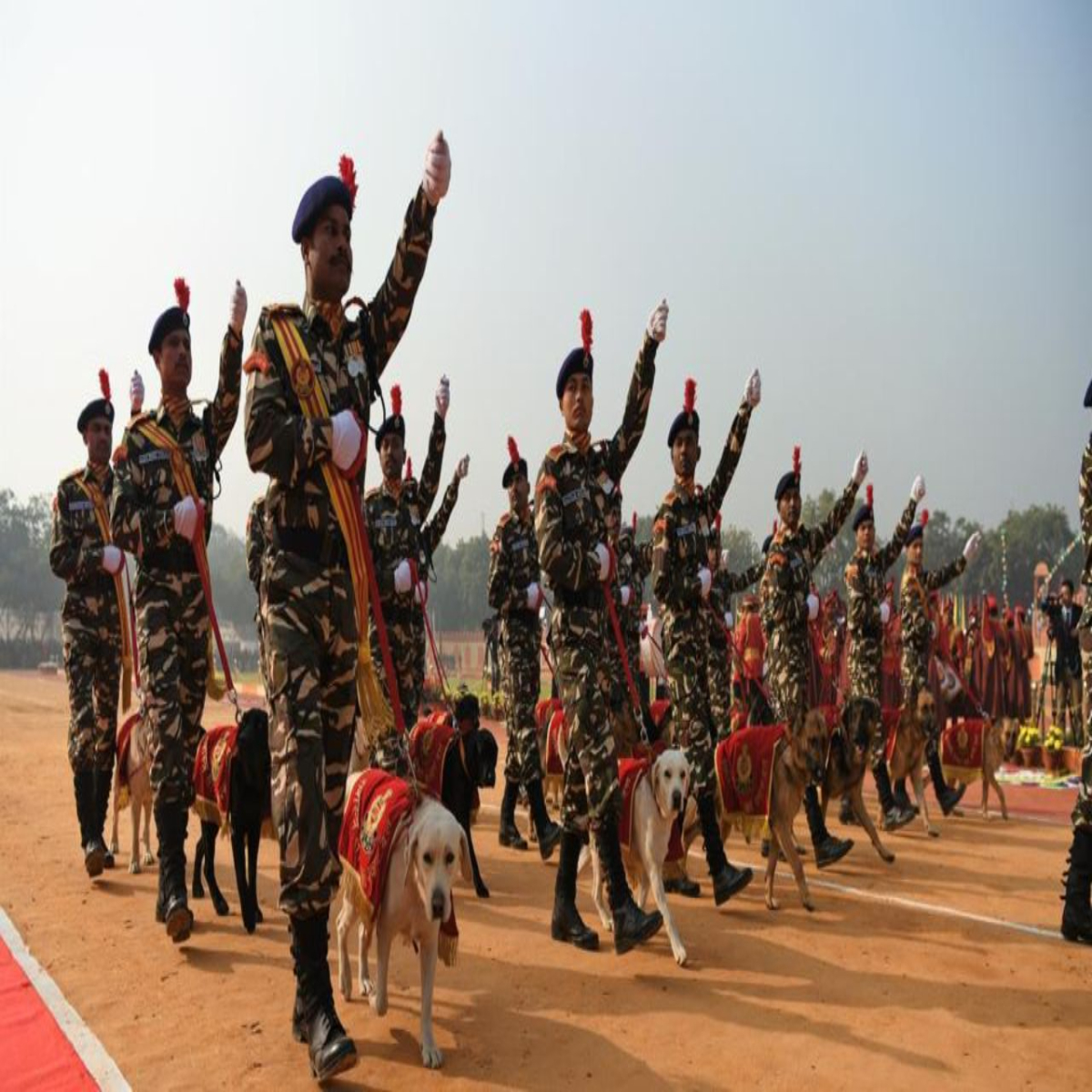 Ssbrecruitment 827 Ssbrecruitment Esesbi Men Pdon