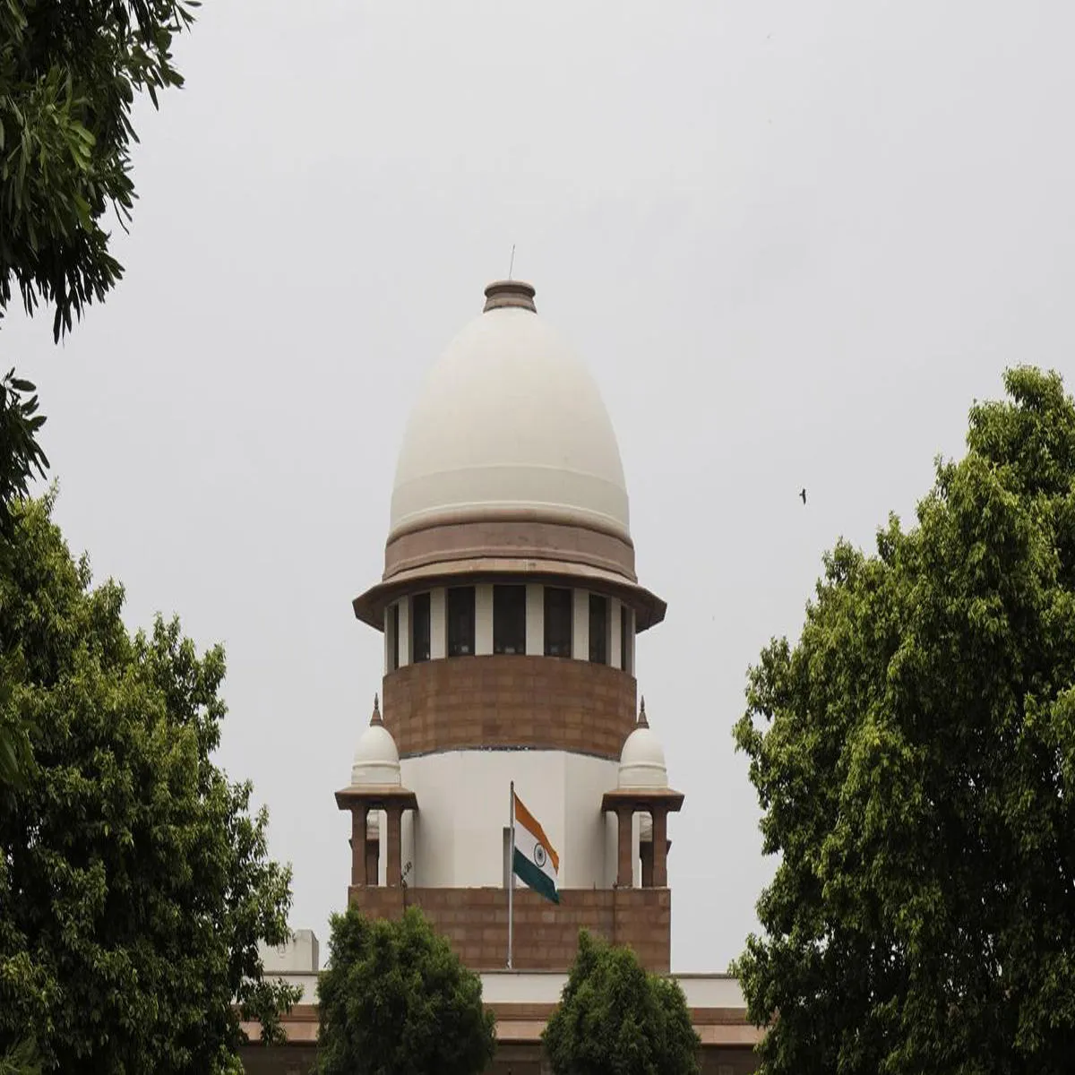 Supremecourt Supremecourt Bar Kaunsil Chunav Nigrani