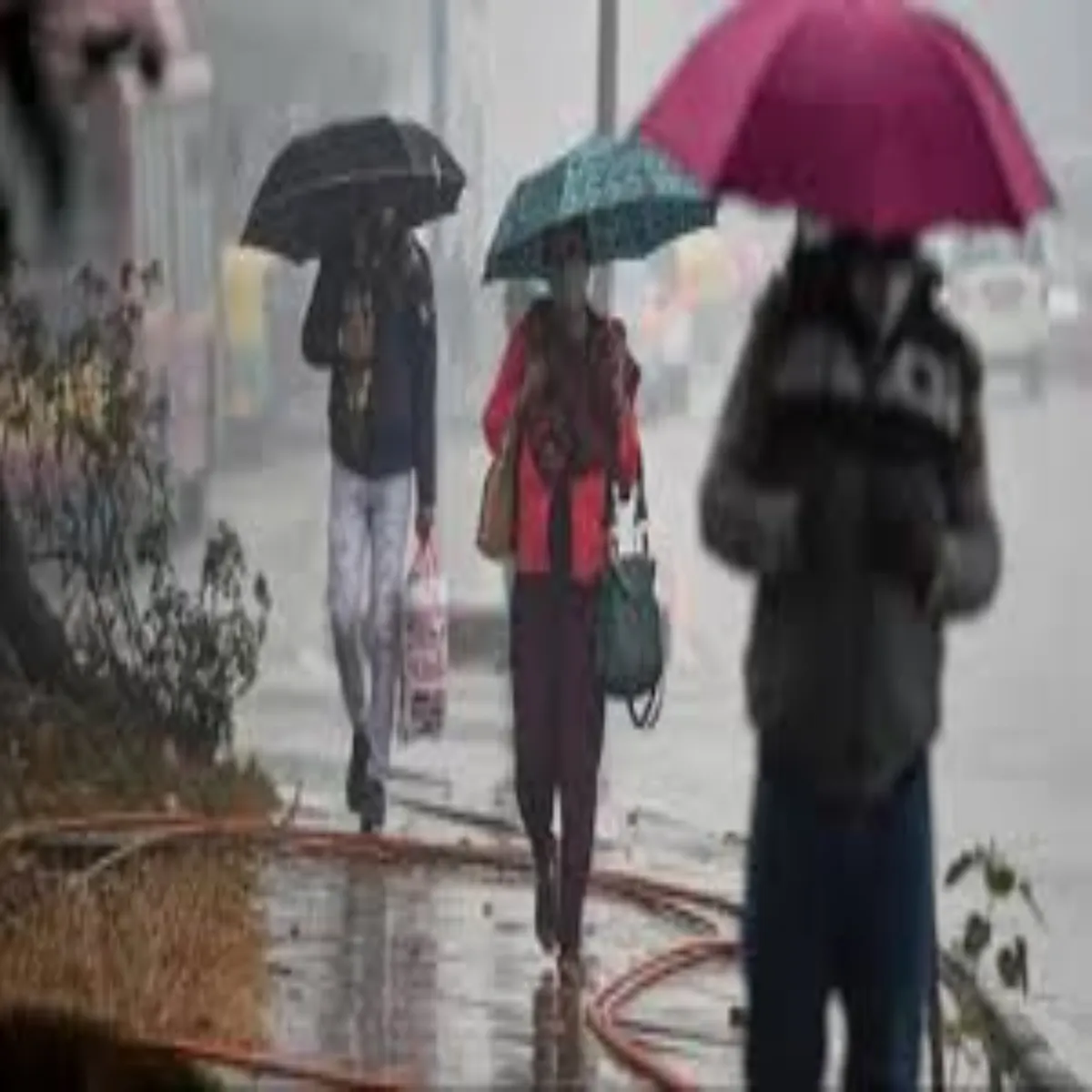 Weatherupdate Weatherupdate Bihar Men Bdla Mausm