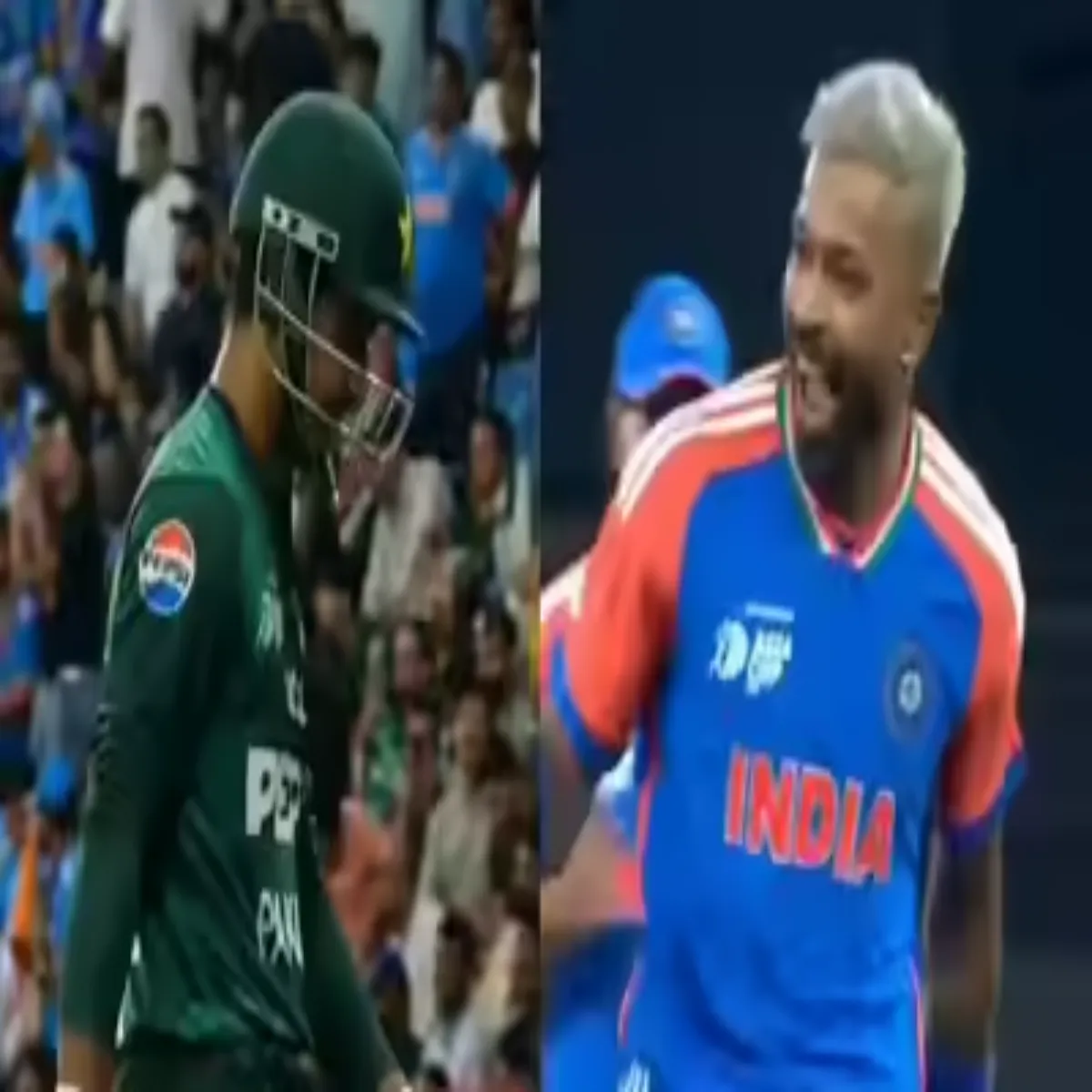 Cricket Ipl Psl Cricket Edm Jaimpa