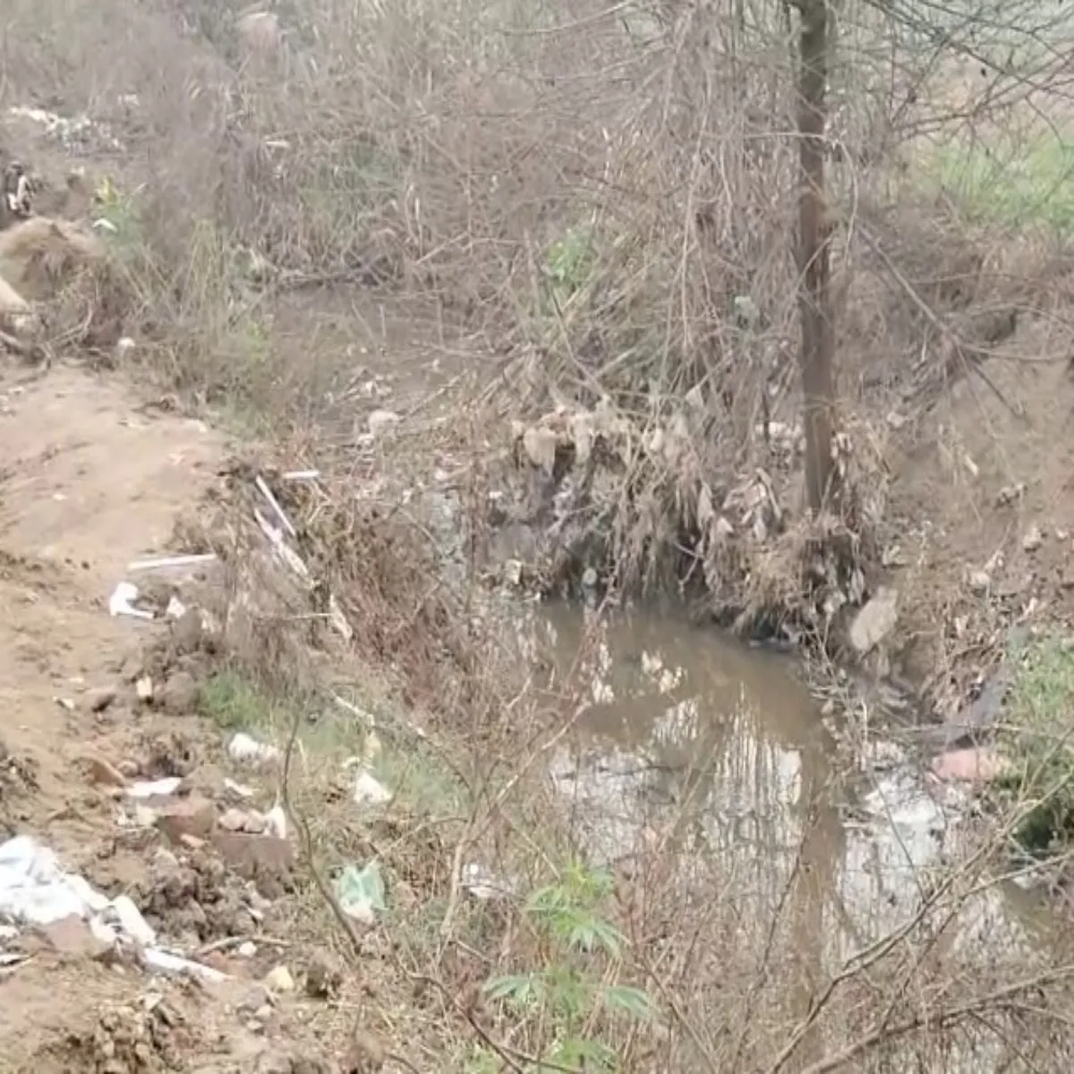 Nitrogenblast Nitrogenblast Dadra Ngr Hveli Men