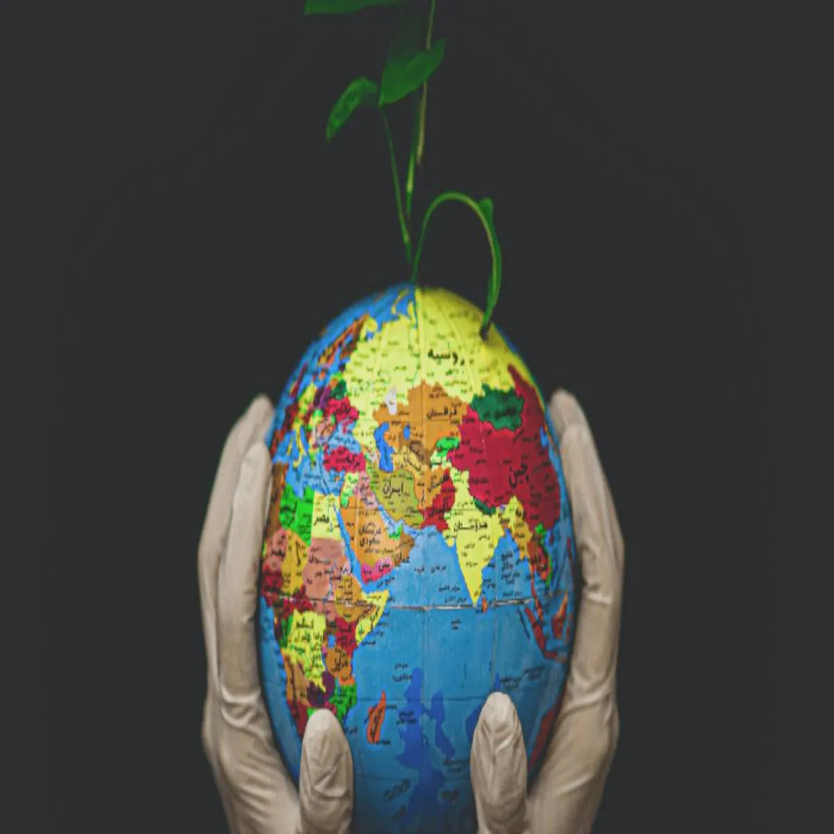 Earthday Earthday Vishv Pthvi Divs Netaon