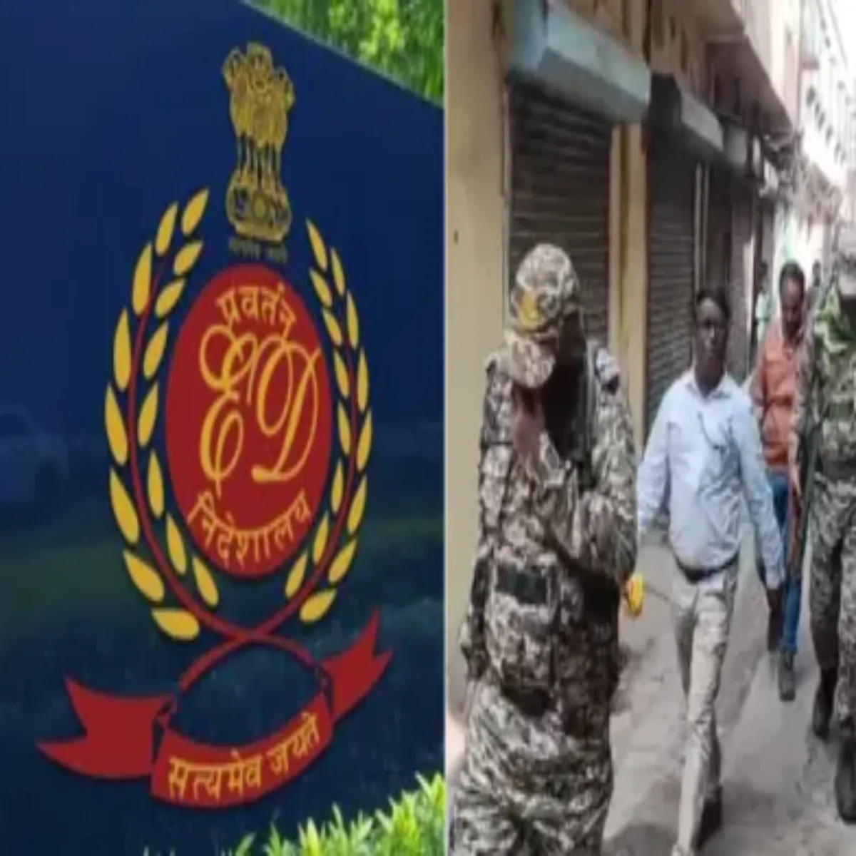 Edraid Edraid Kolkata Men Mrlin Grup