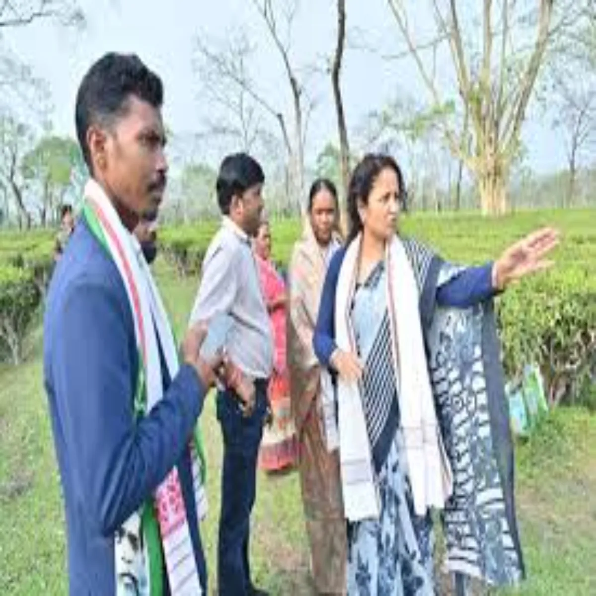 Assamelection Assamelection Chay Baganon Men Phunche