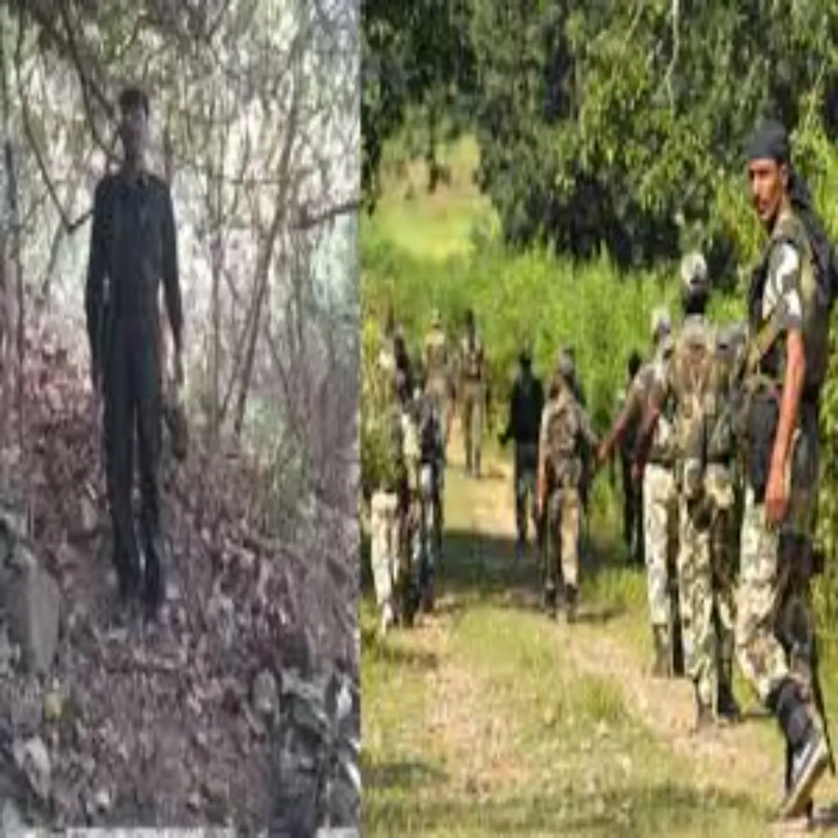 Naxalencounter Naxalencounter Kolhan Jngl Men Surkshablon