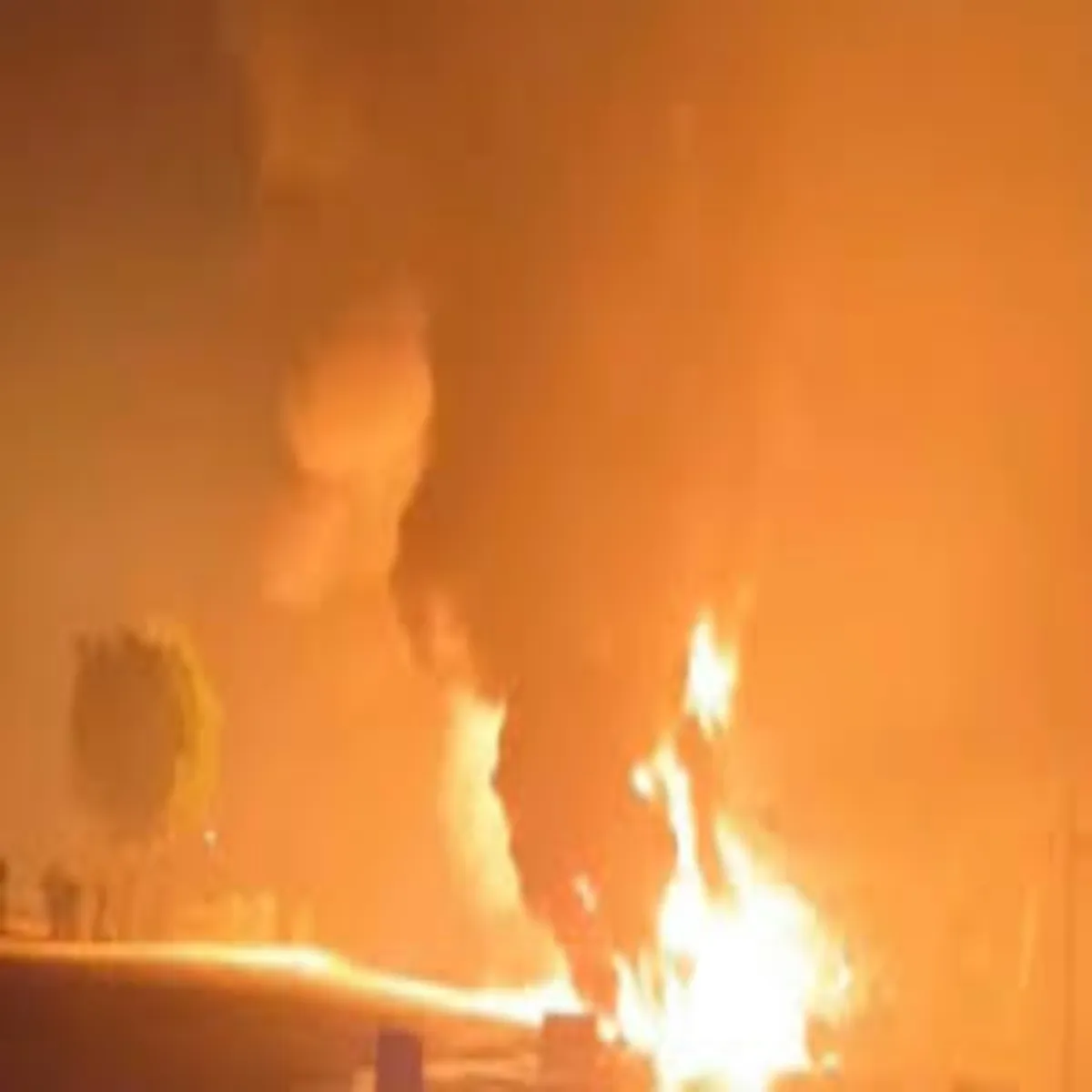 Terrorcase Terrorcase Mngluru Kukr Dhmaka Mamle