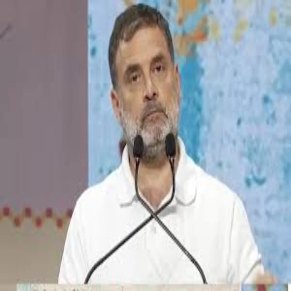 Rahulgandhicase Rahulgandhicase Nagrikta Yachika Haeekort Men