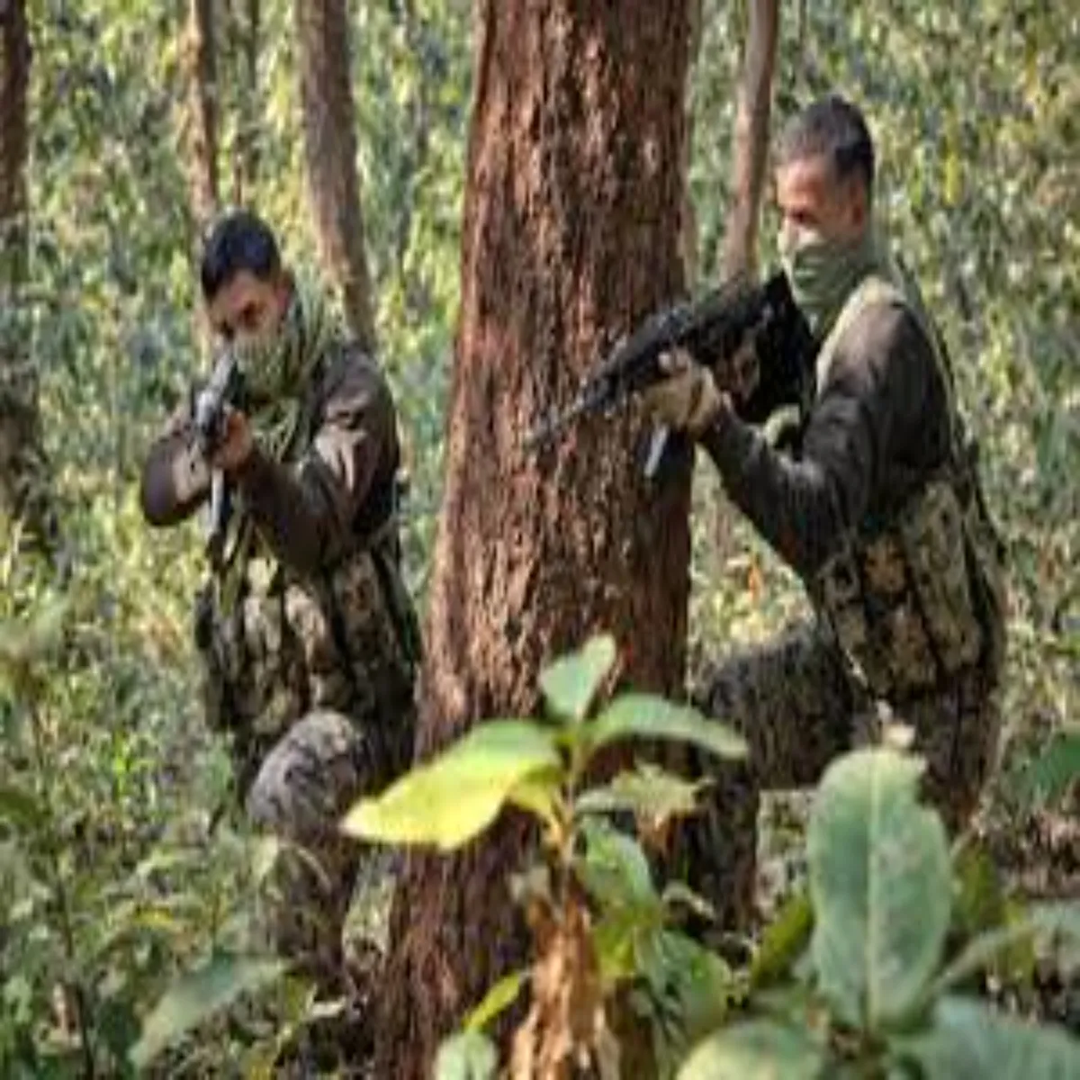 Naxalattack Naxalattack Sarnda Jngl Men Aaeeeedi