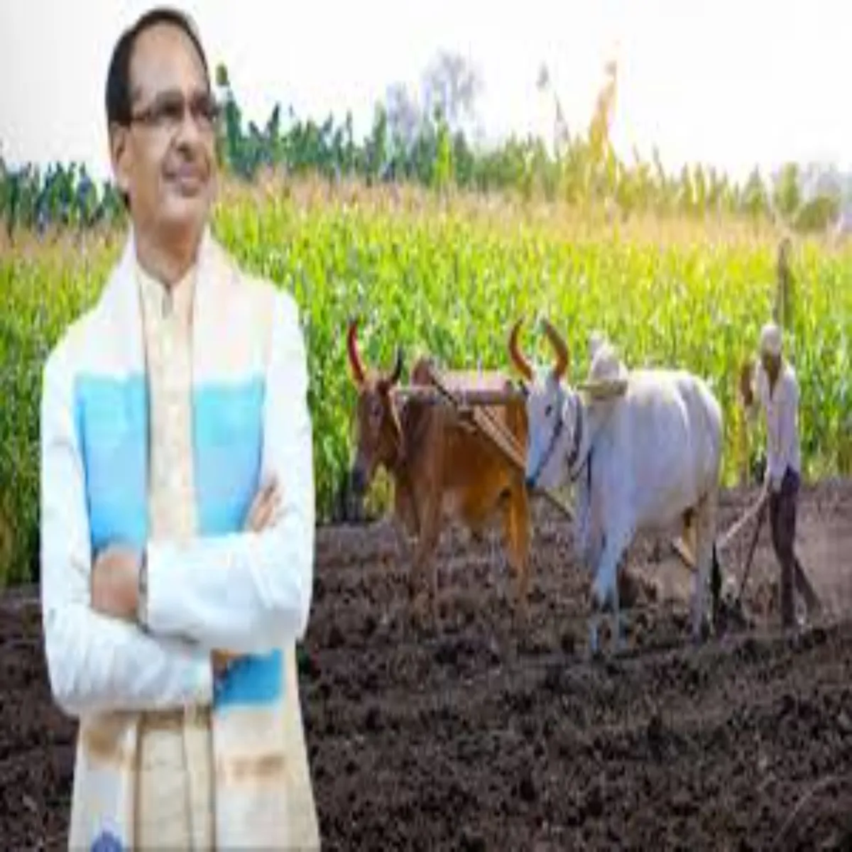 Agriculturegrowth Agriculturegrowth Shivraj Sinh Chauhan Yupi