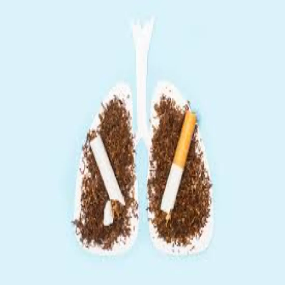 Smokingrisk Smokingrisk Sbse Bda Svasthy Khtra