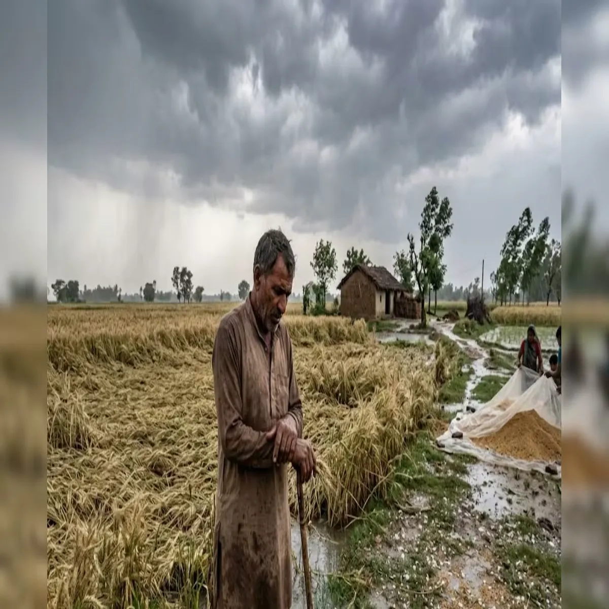 Weatherupdate Weatherupdate Bemausm Barish Olavshti Jld