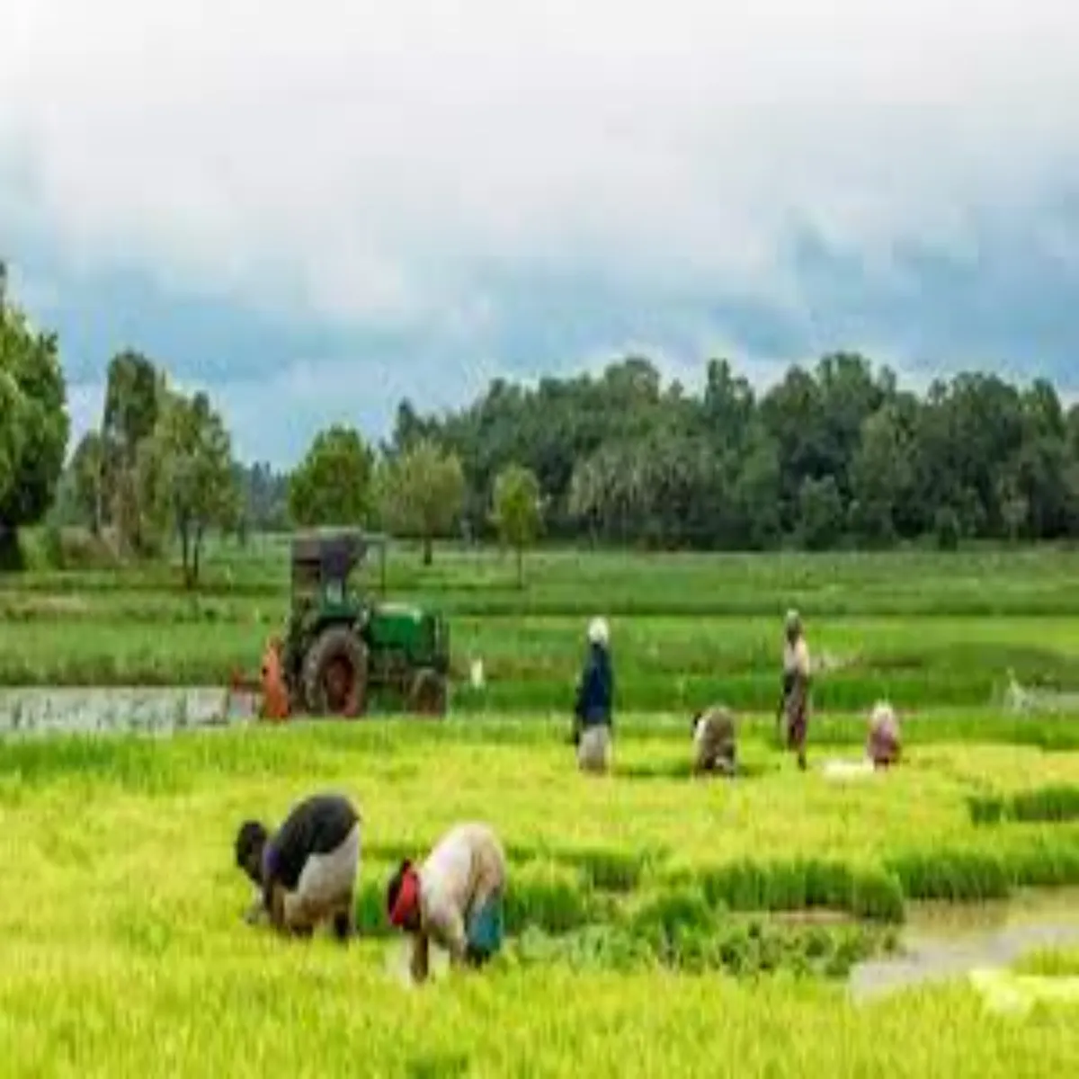 Agriculturegrowth Agriculturegrowth Yupi Men Kshi Vikas