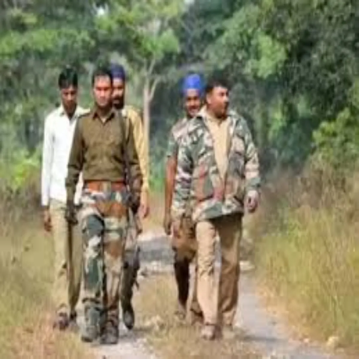 Upssscforestguard 708 Upssscforestguard Pdon Nikli Bhrti