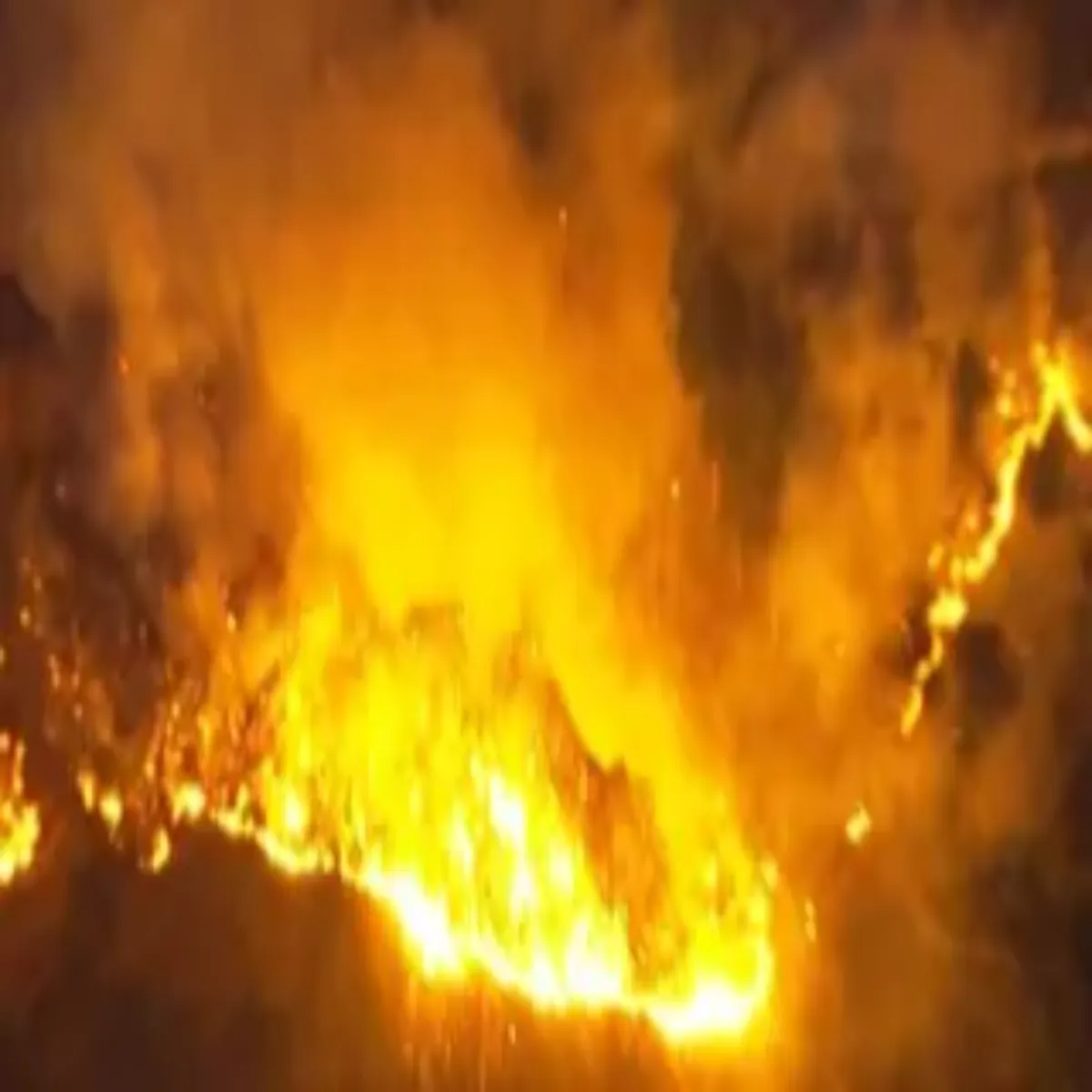 Forestfire Forestfire Chmoli Men Jngl Aag