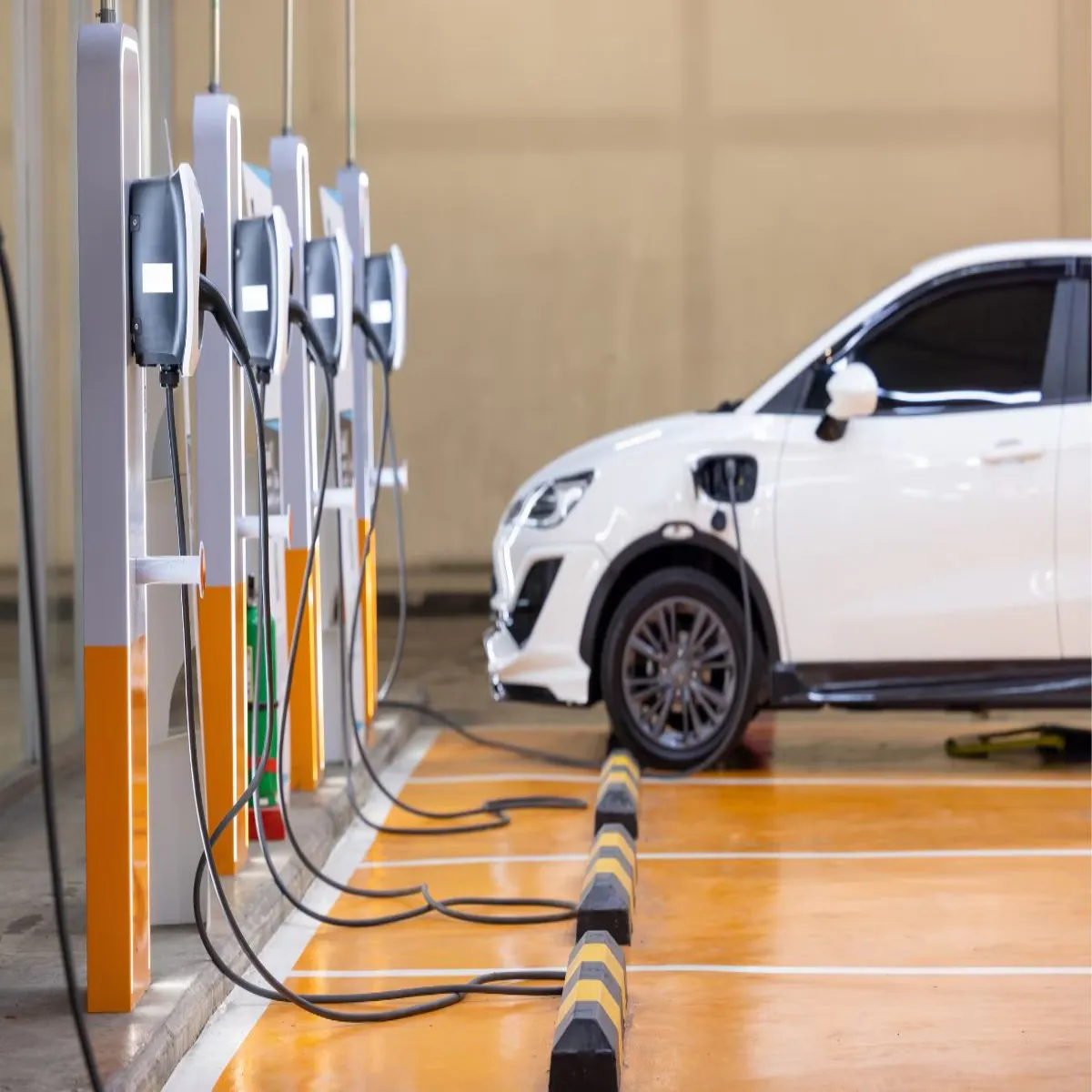 Evsavings Evsavings Janen Petrol Dijl Vahnon