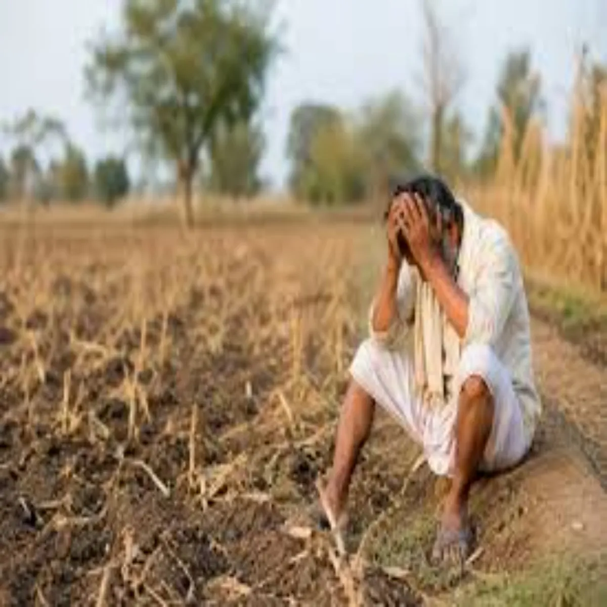 Agriculture Agriculture Bhi Chinta Vishy Bni