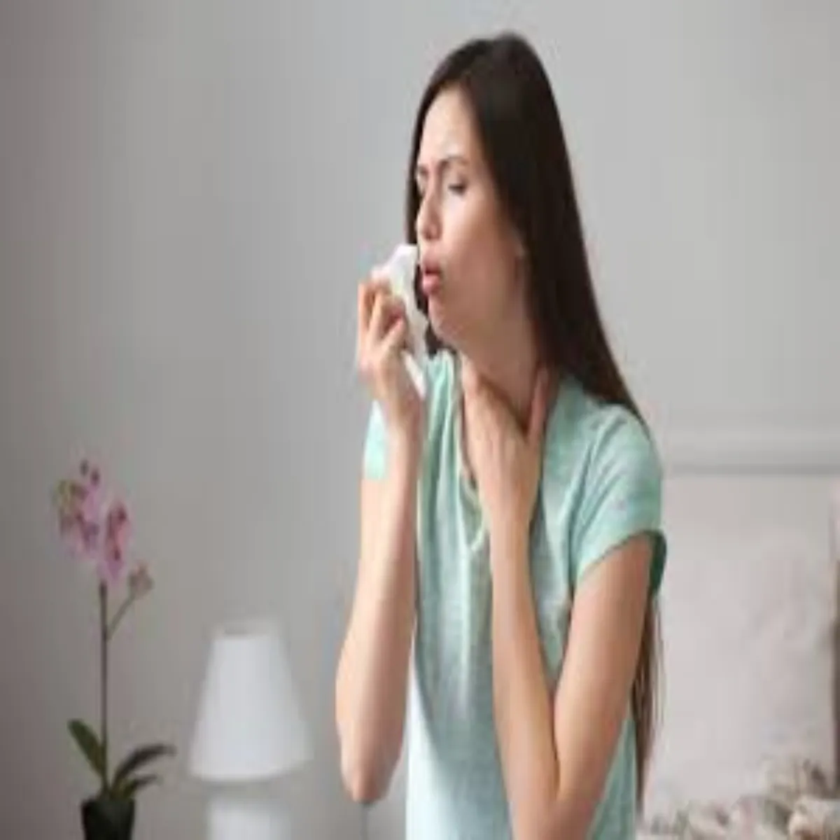 Allergycare Allergycare Phivr Snket Bdlte Mausm