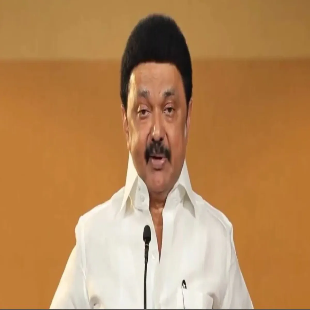Dmkelection Dmkelection Mtgna Phle Emke Stalin