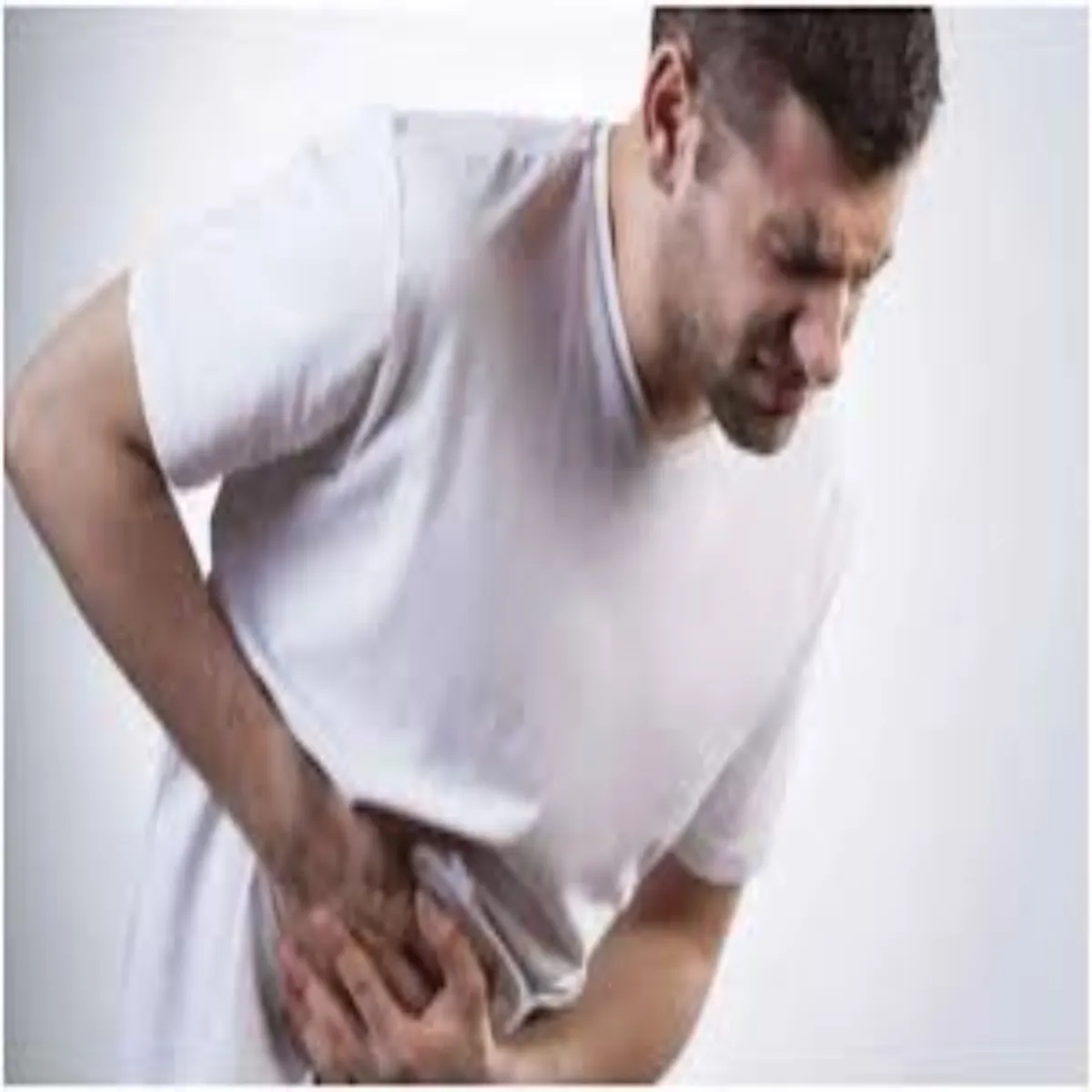 Digestion Digestion Janen Subh Pet Men