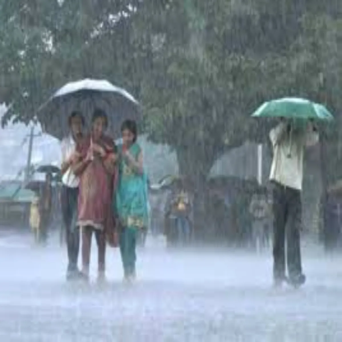 Weather Alert Weather Alert Raybreli Men