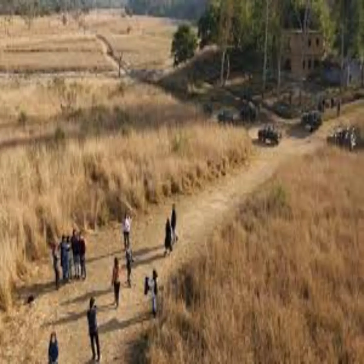 Rajajitigerreserve Rajajitigerreserve Bhumi Aavntn Mamle Men