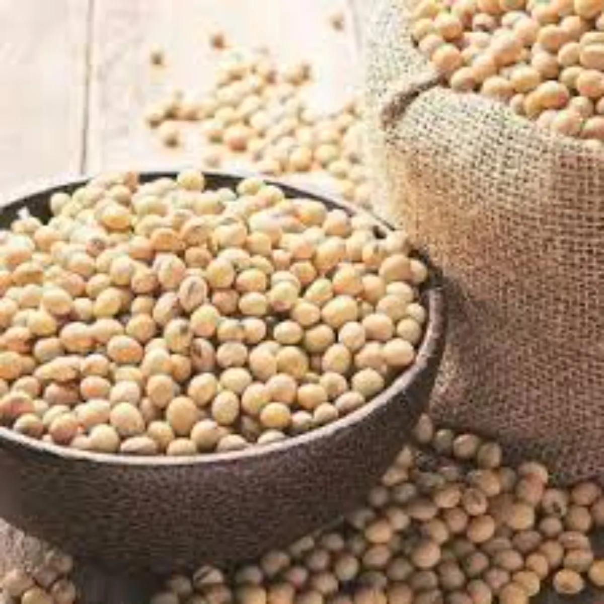 Soybeanmarket Soybeanmarket Soyabin Bdhti Kimton Bdle