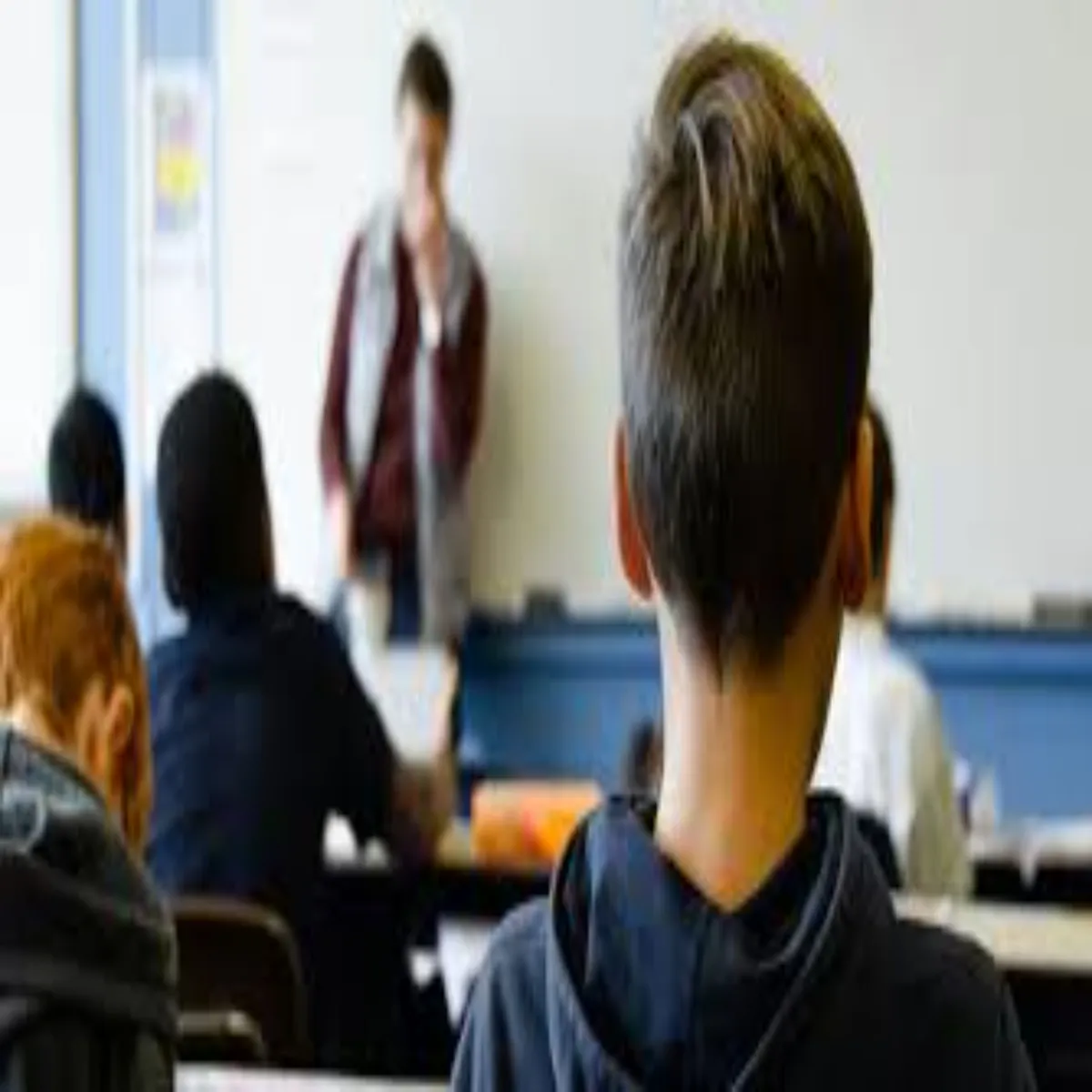 Schooldispute Schooldispute Badh Skul Men Shikshkon