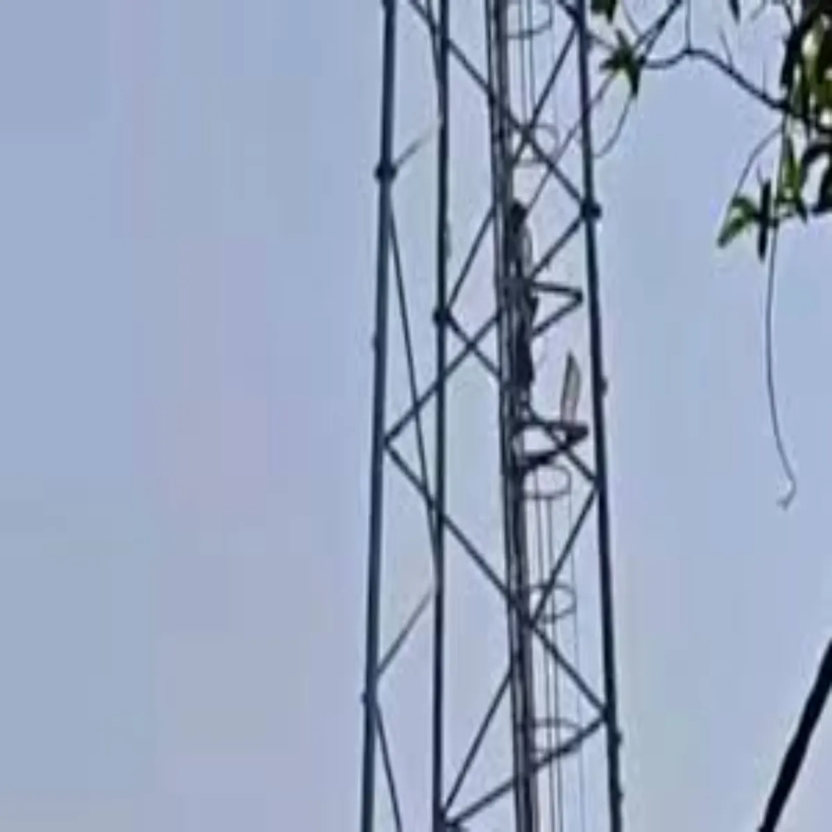 Mobile Tower Mobile Tower Sivan Men