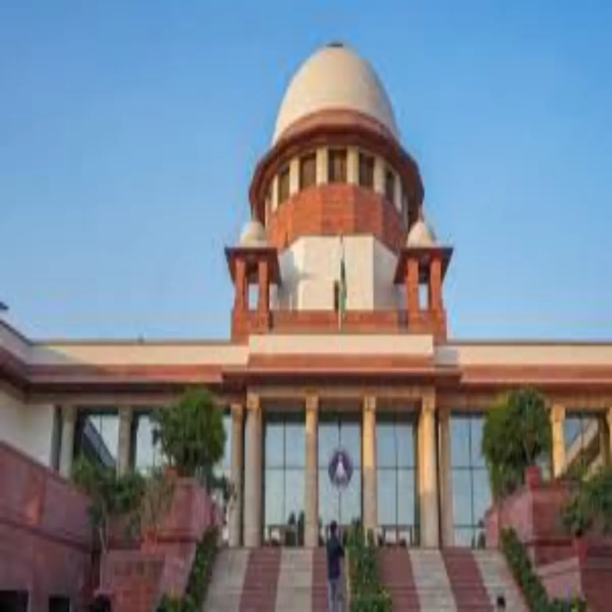 Justice Justice Mhila Adhivkta Hmle Mamle