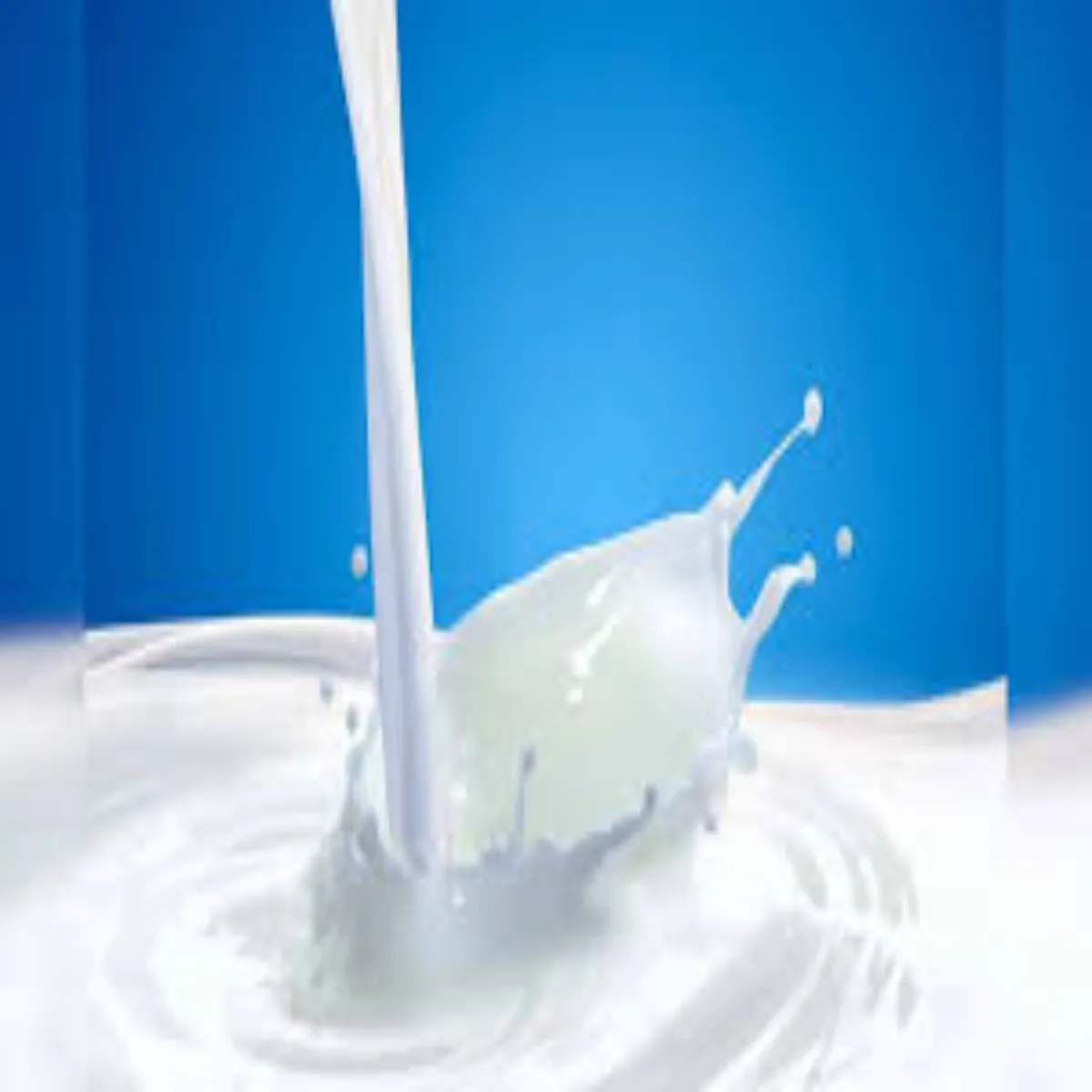 Milkpriceupdate Milkpriceupdate Uttrakhnd Men Aanchl Dudh