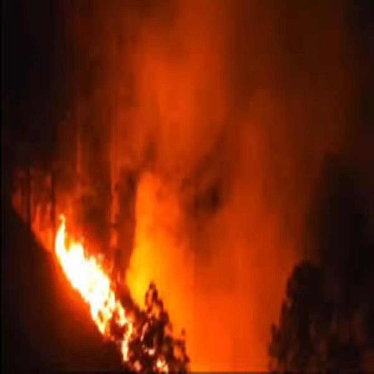 Forestfire Forestfire Uttrakhnd Men Jngl Aag