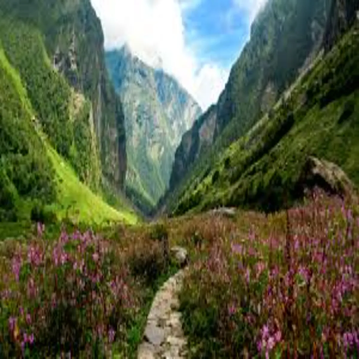 Valleyofflowers Valleyofflowers Prytkon Svagt Phle Phulon
