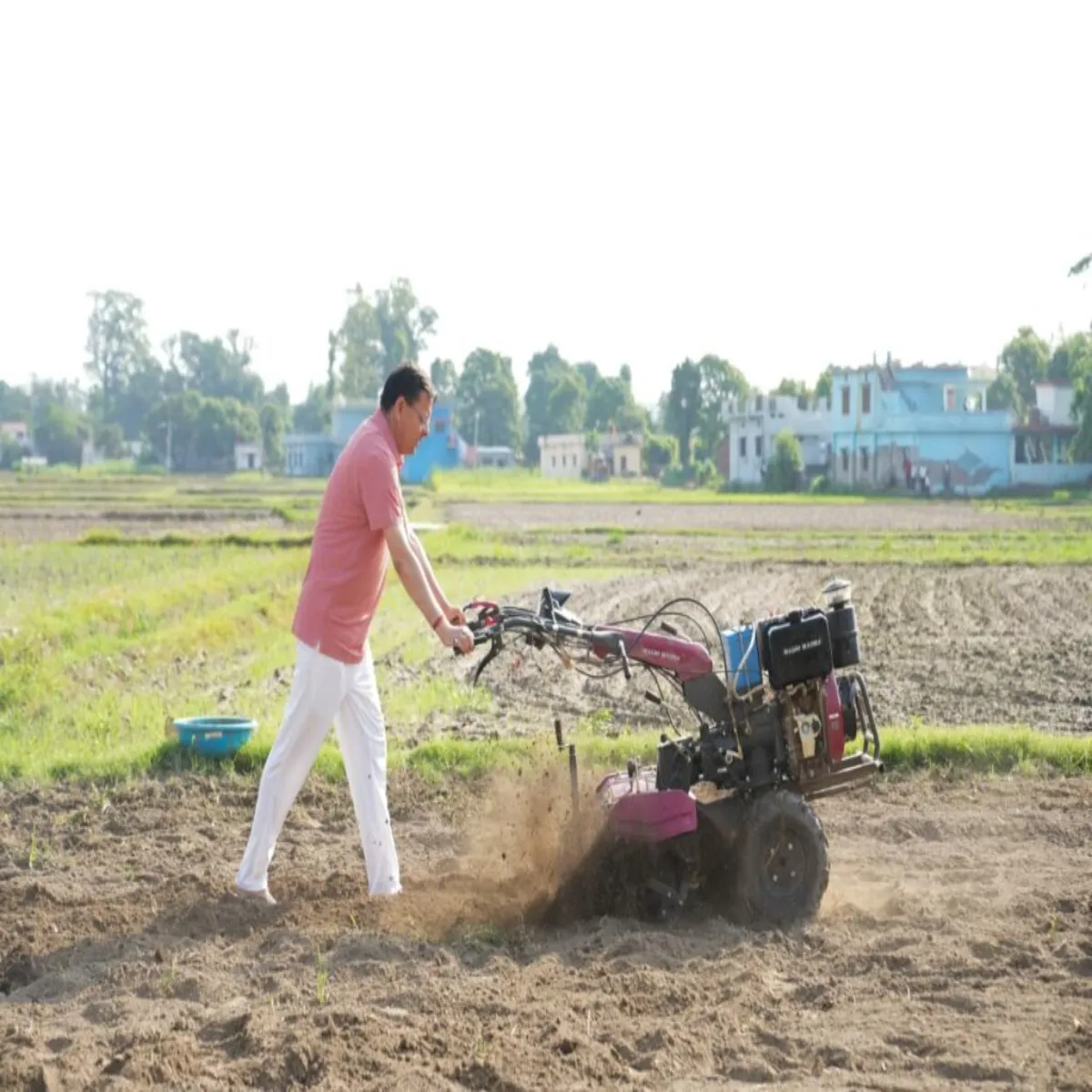 Naturalfarming Naturalfarming Khet Men Tilr Chlakr