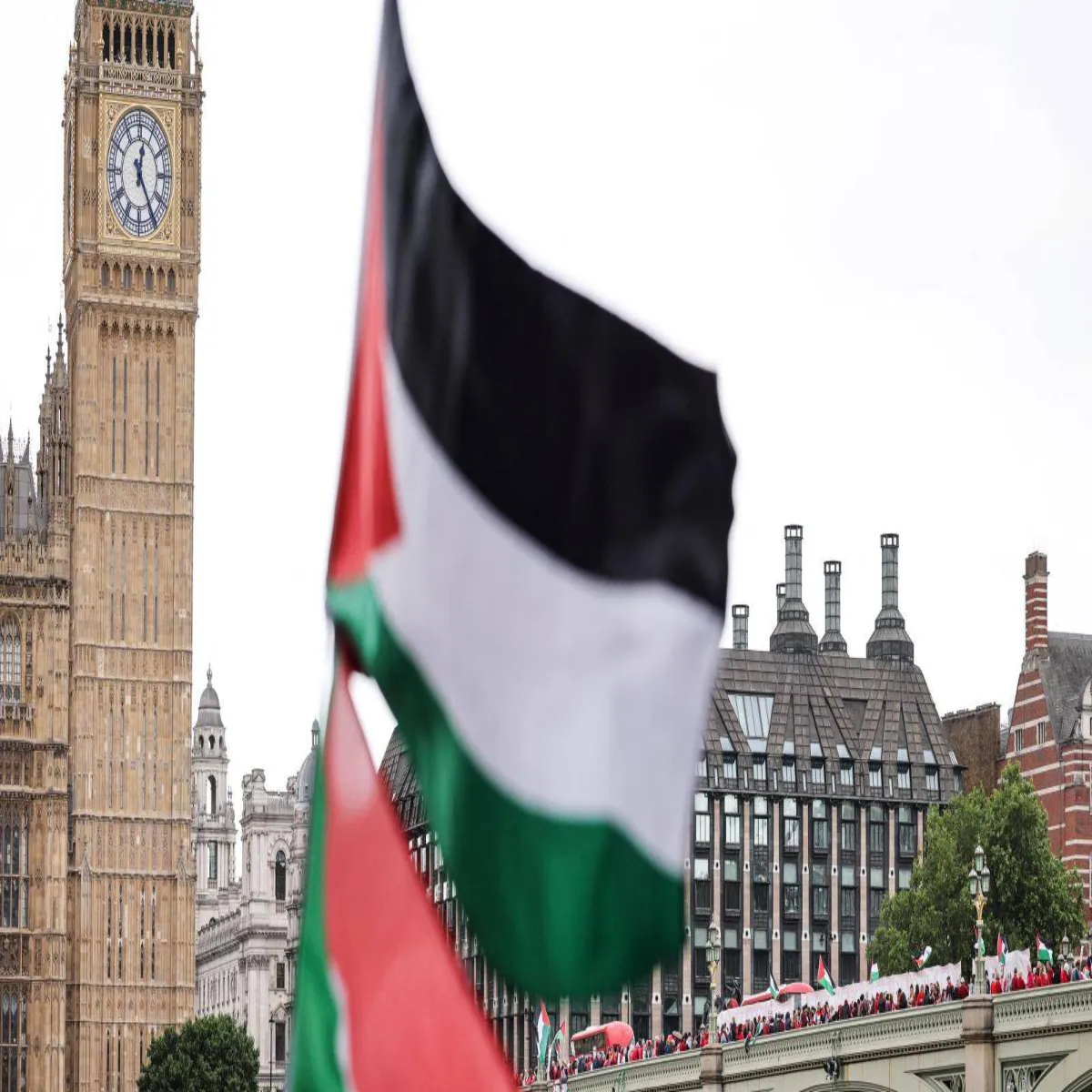 Palestineaid Palestineaid Chikitsa Shayta Mili Ummid