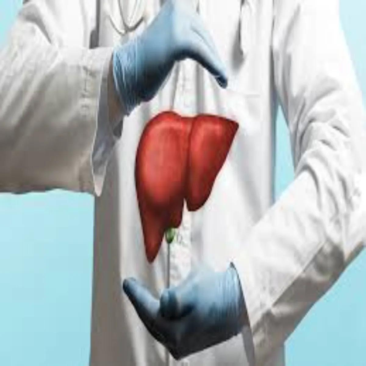 Liver Health Liver Health Kya Vastv