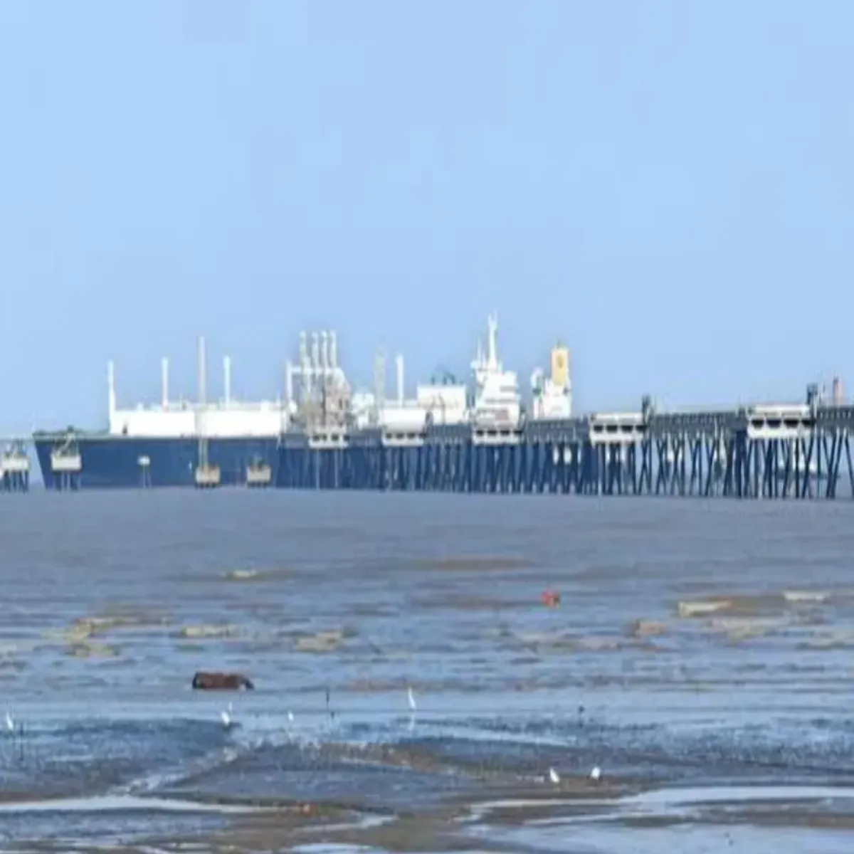 Lng Lng Hormuj Jldmrumdhy Dhej Phuncha