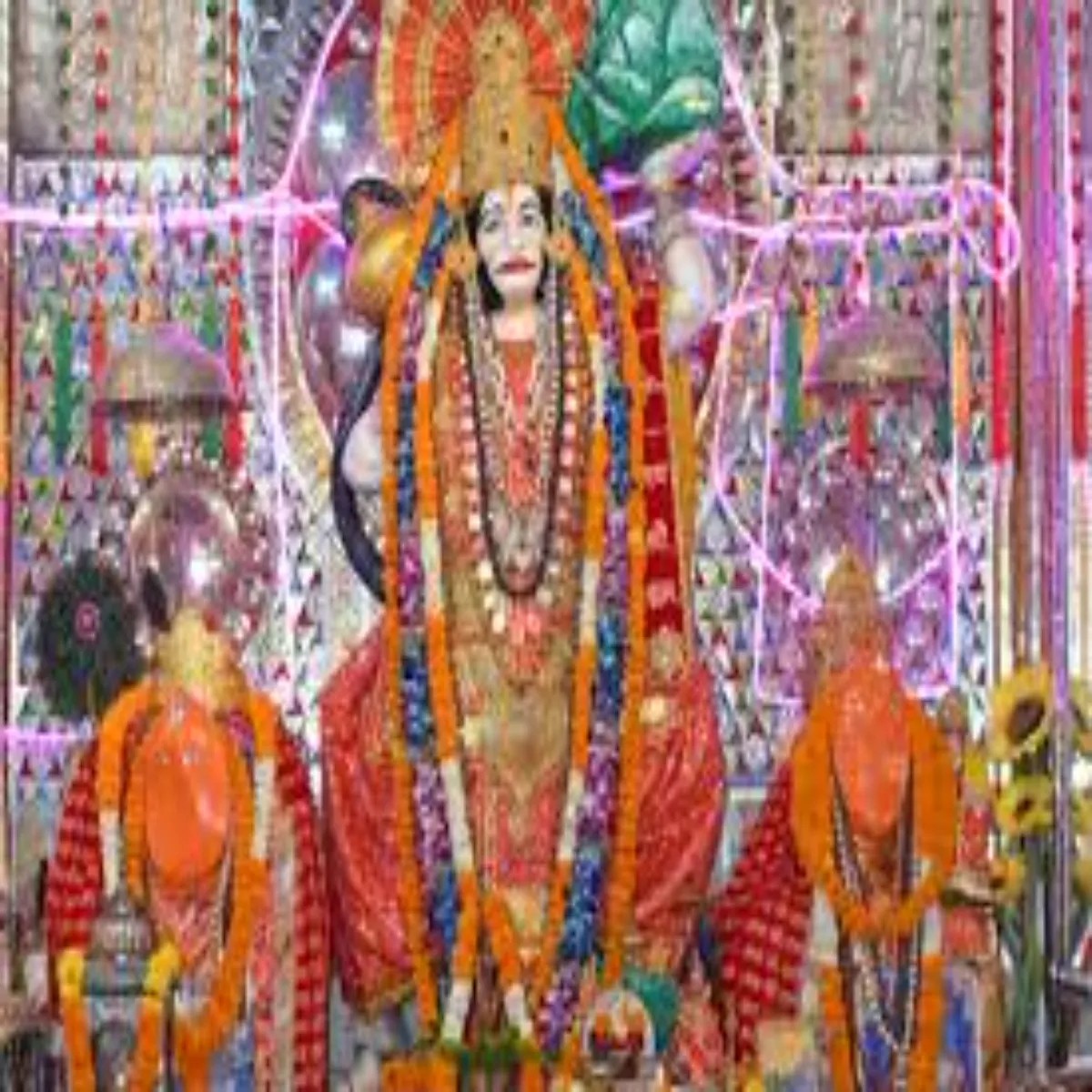 Maninderjitbitta Maninderjitbitta Mnindrjit Sinh Bitta Siddhbli