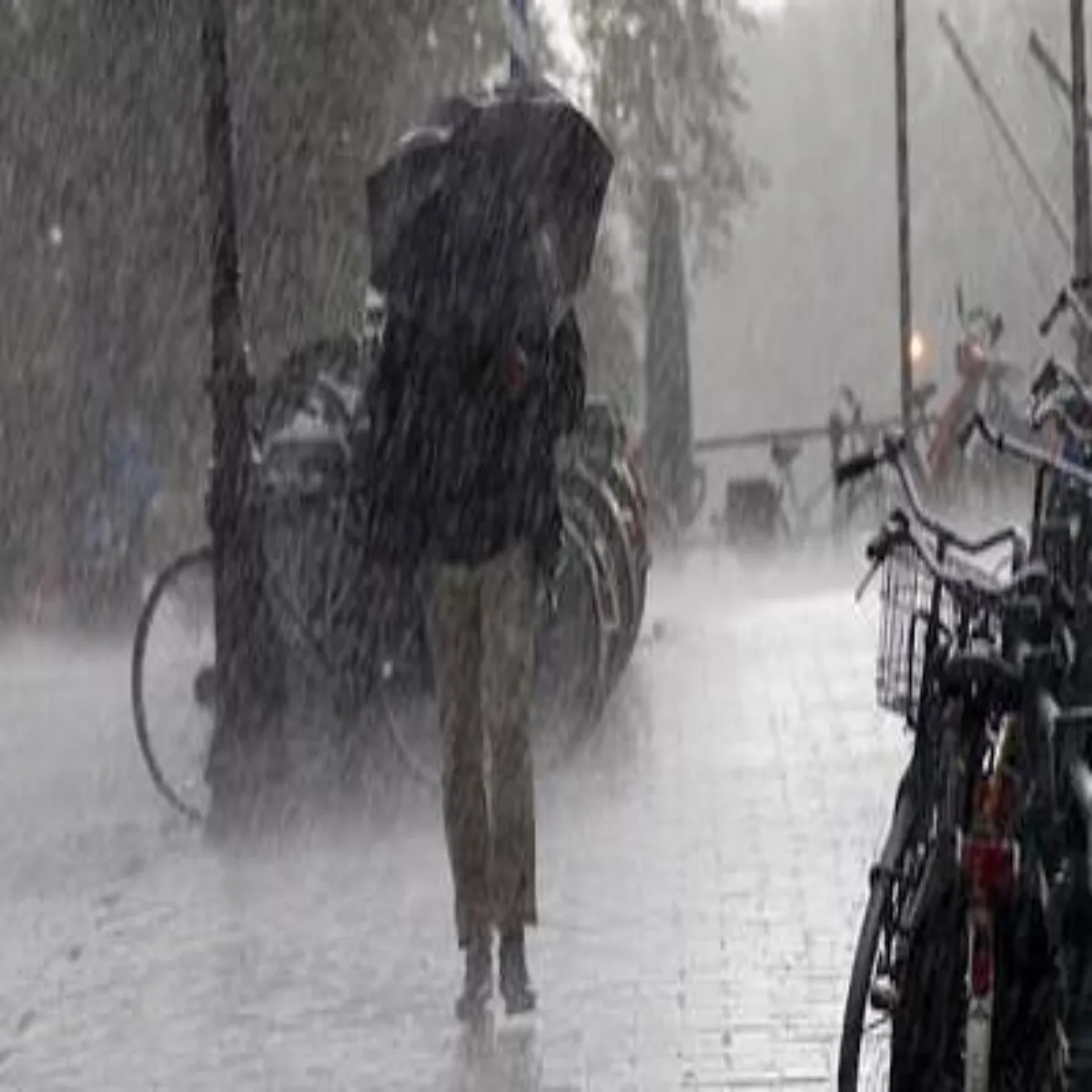 Monsoontravel Monsoontravel Barish Men Sphr Phle