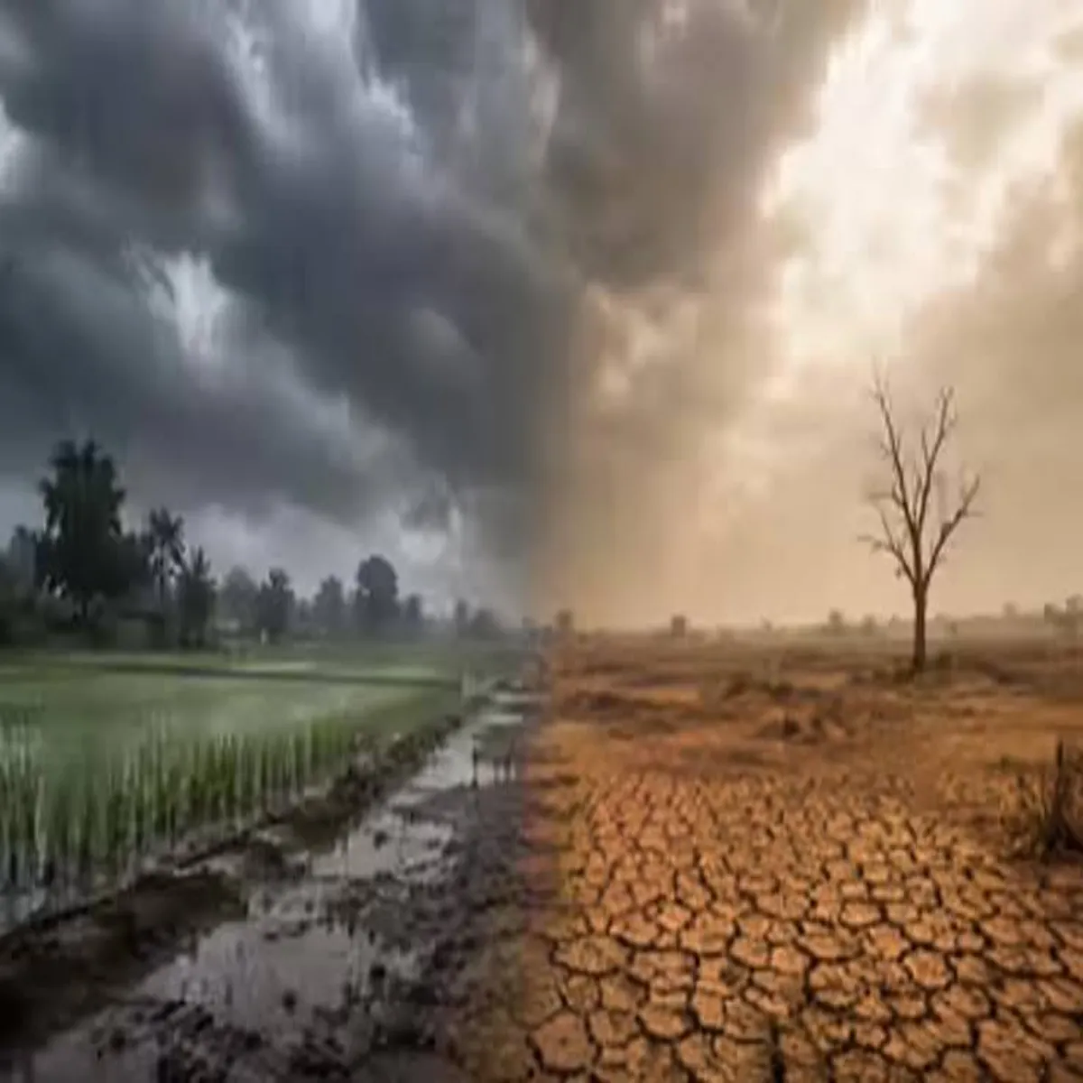Monsoon Monsoon Munbee Men Der Phunche