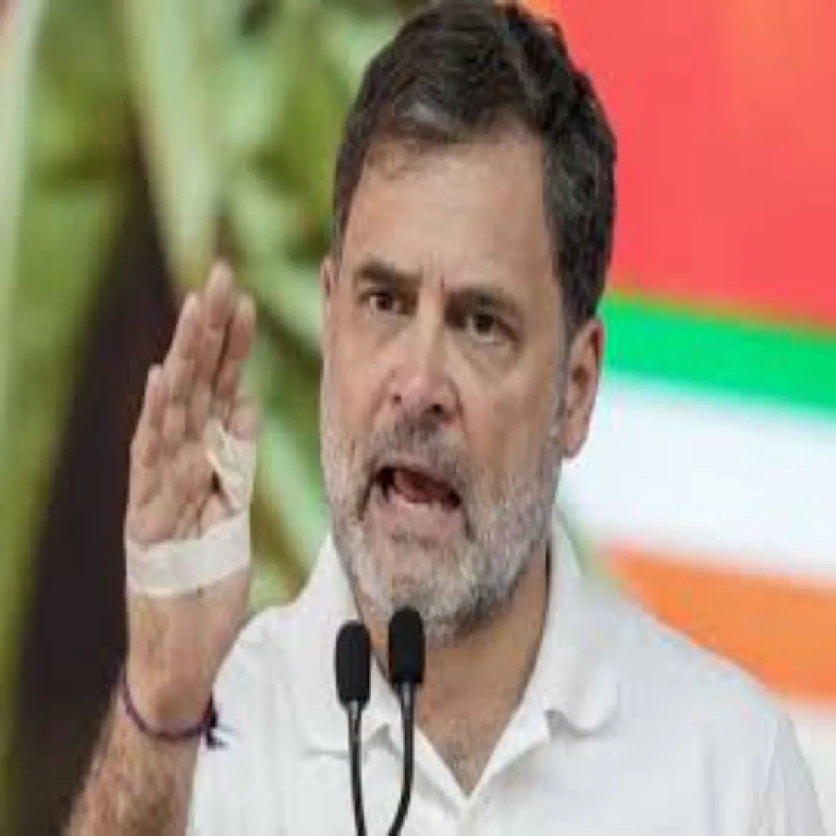 Greatnicobarproject Greatnicobarproject Rahul Gandhi Dvip Vikas