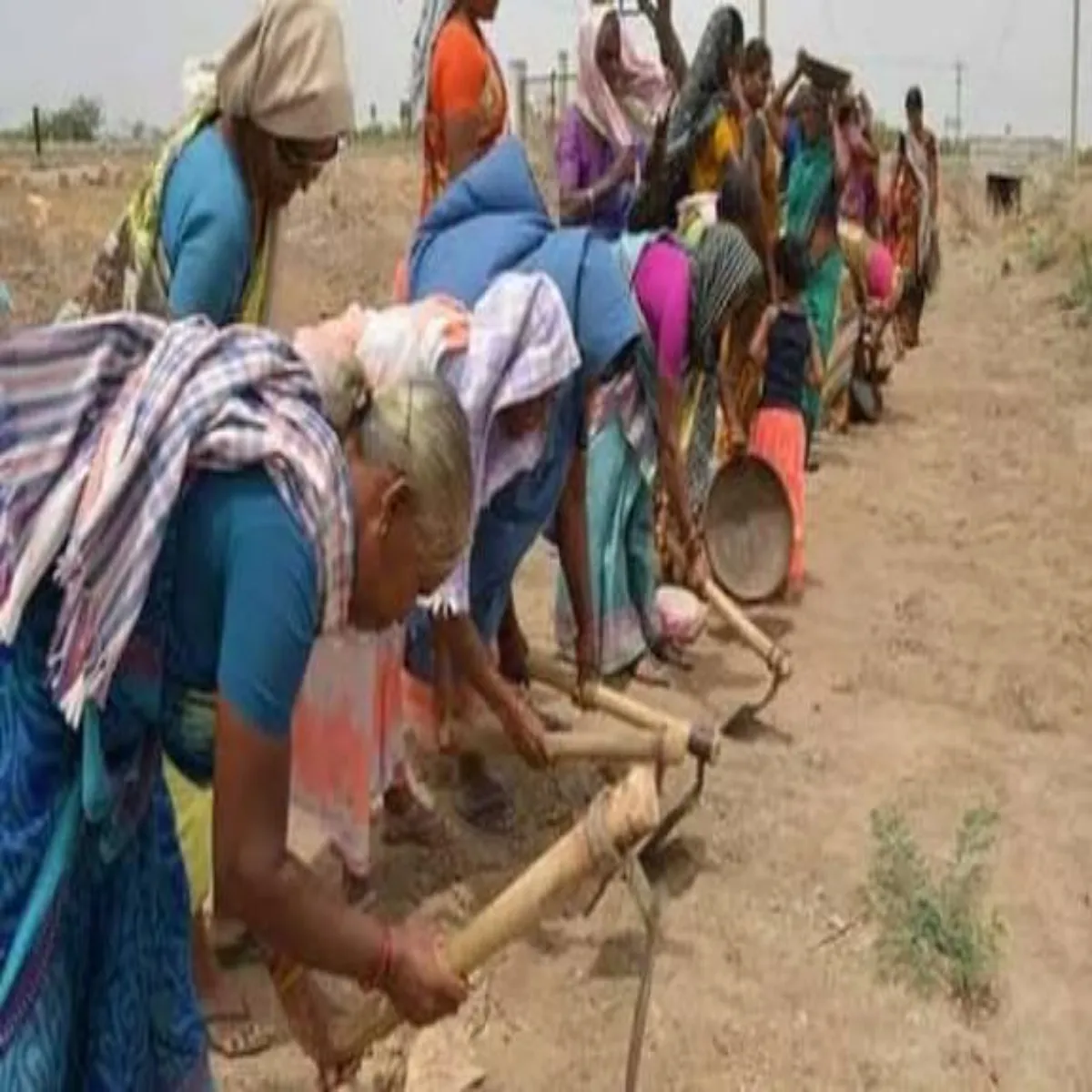 Employment Employment Grami Rojgar Mishn Lagu