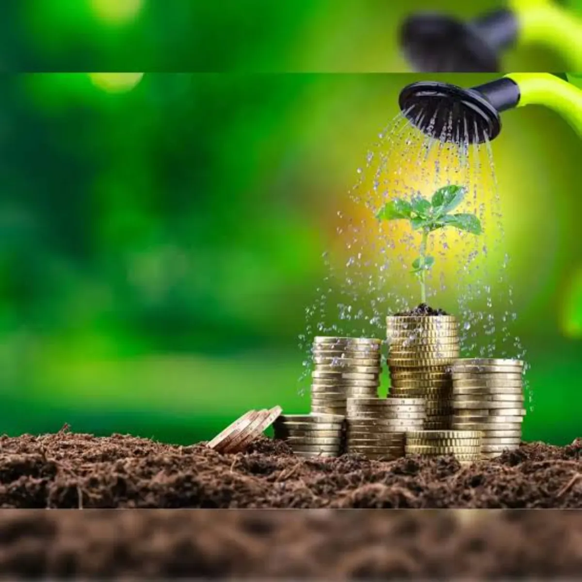 Smallsavings Smallsavings Bajar Anishchitta Men Kya