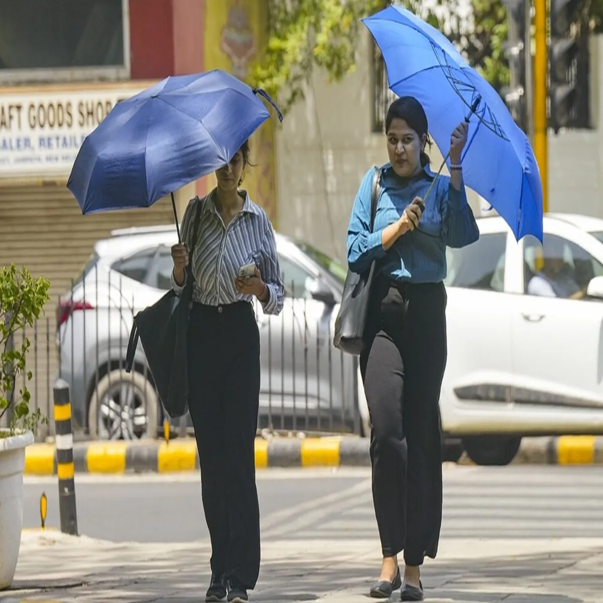 Heatwave Alert Heatwave Alert Yupi Men