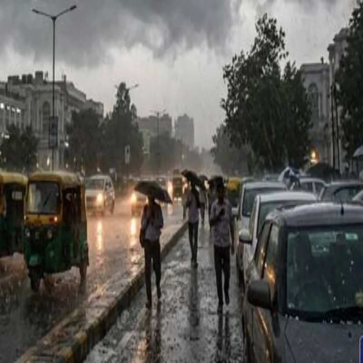 Weather Weather Yupi Men Asr Brkrar