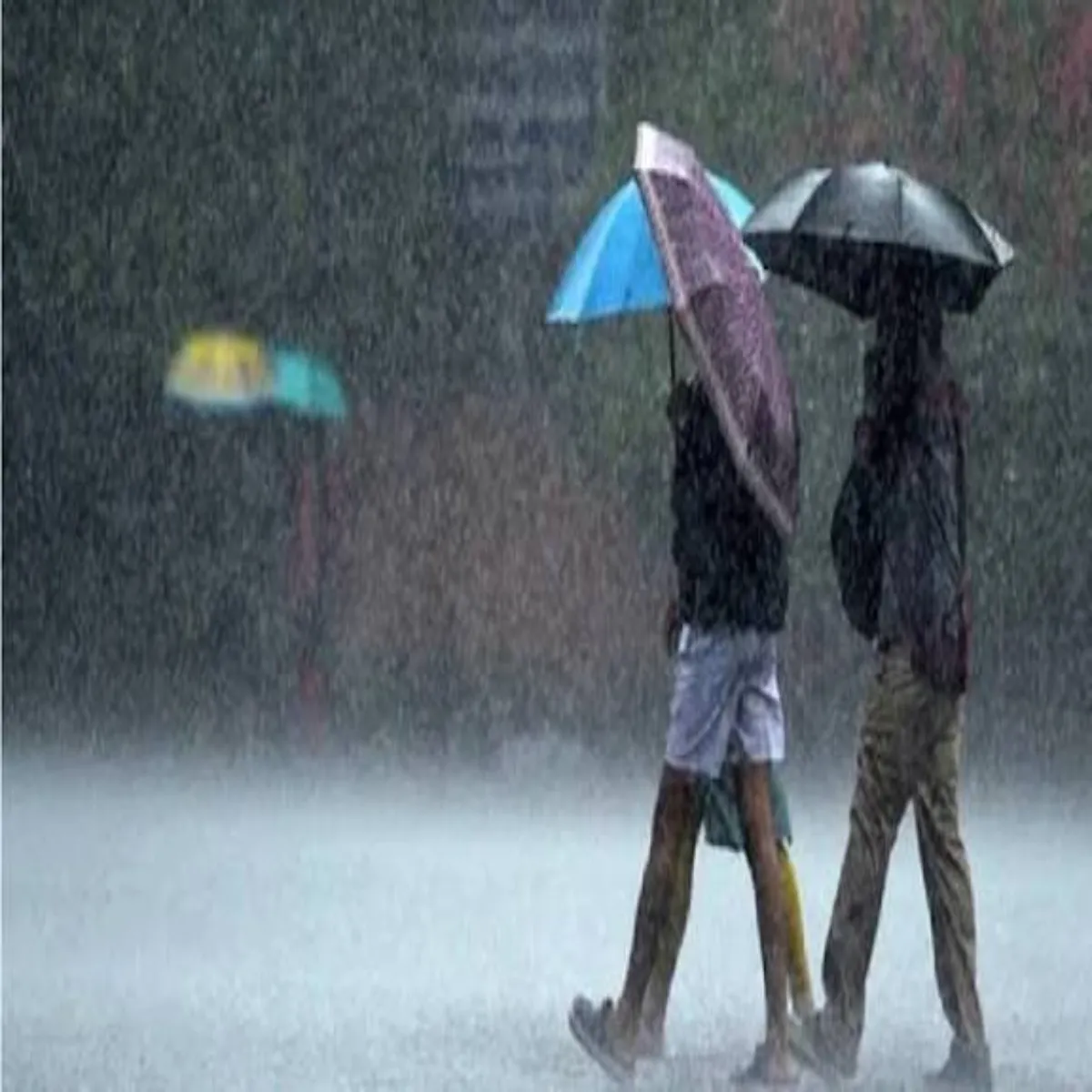 Weather Weather Yupi Men Asr Brkrar