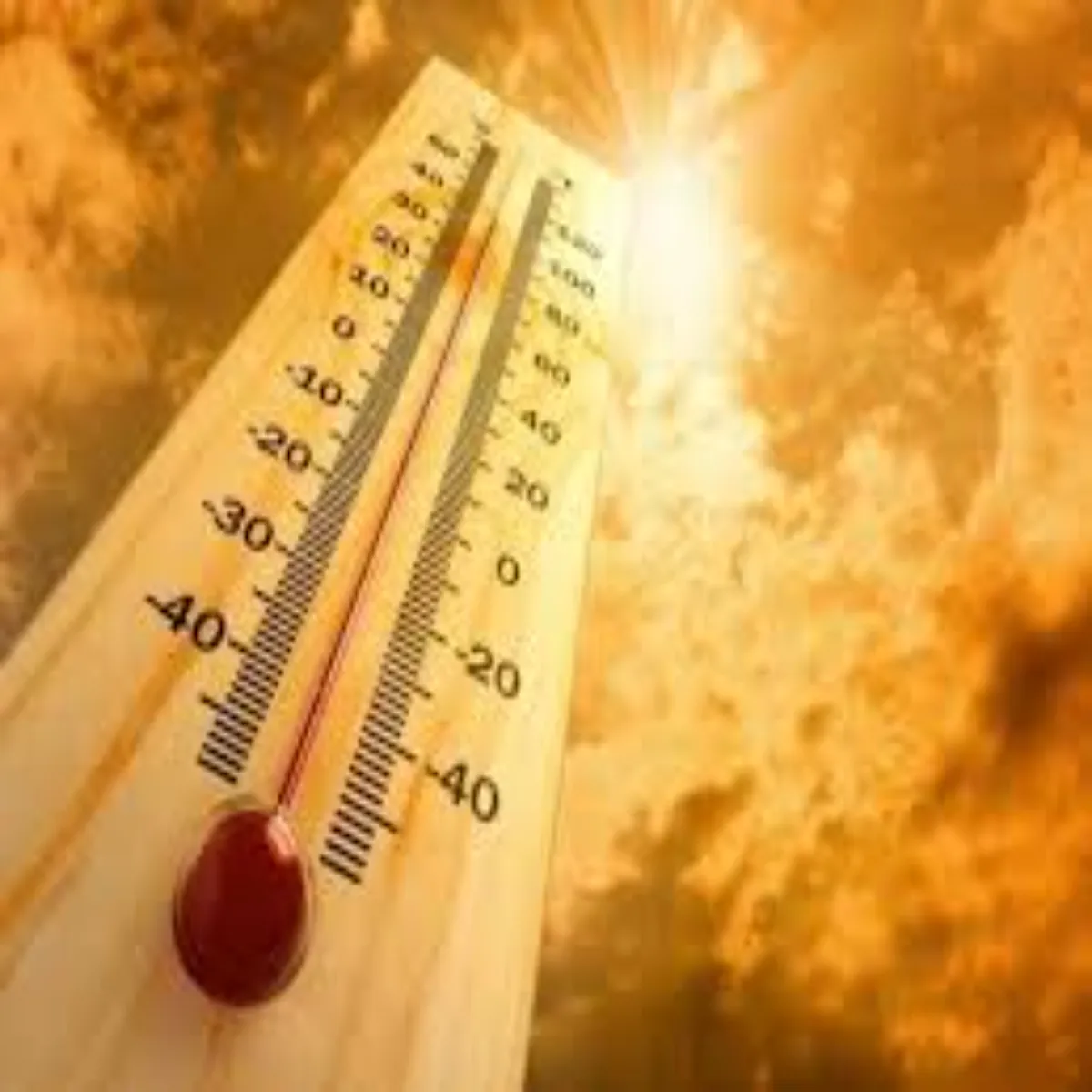 Heatwave Heatwave Yupi Men Chdha Tapman